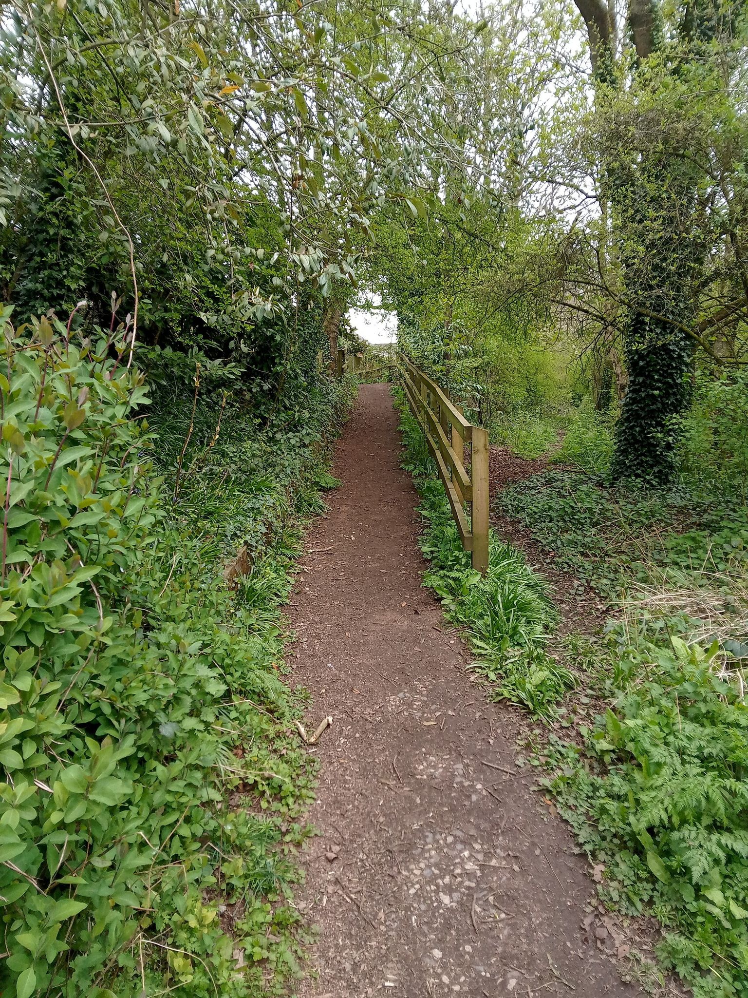 not another hill lol