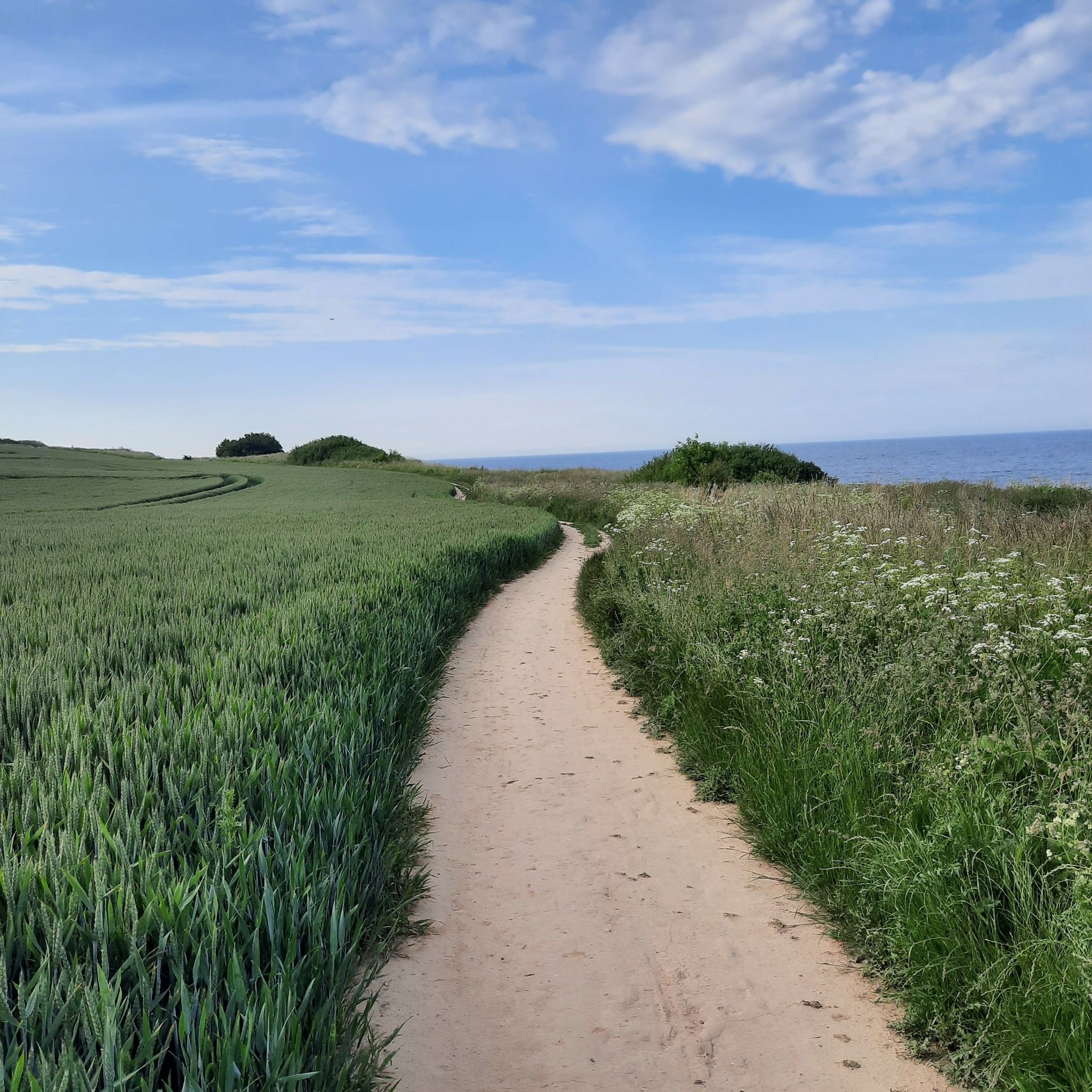 Steilküstenweg