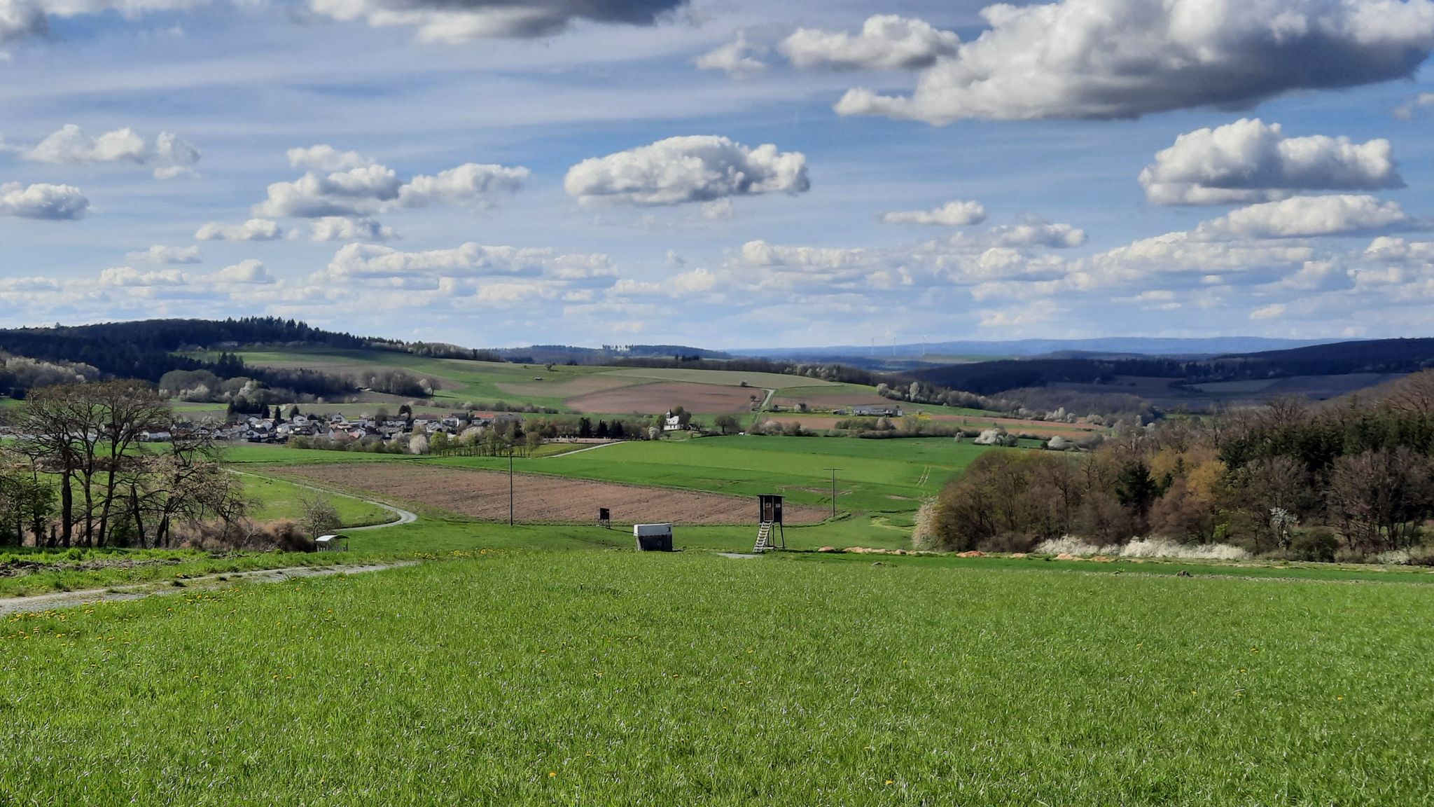 Oberlauken