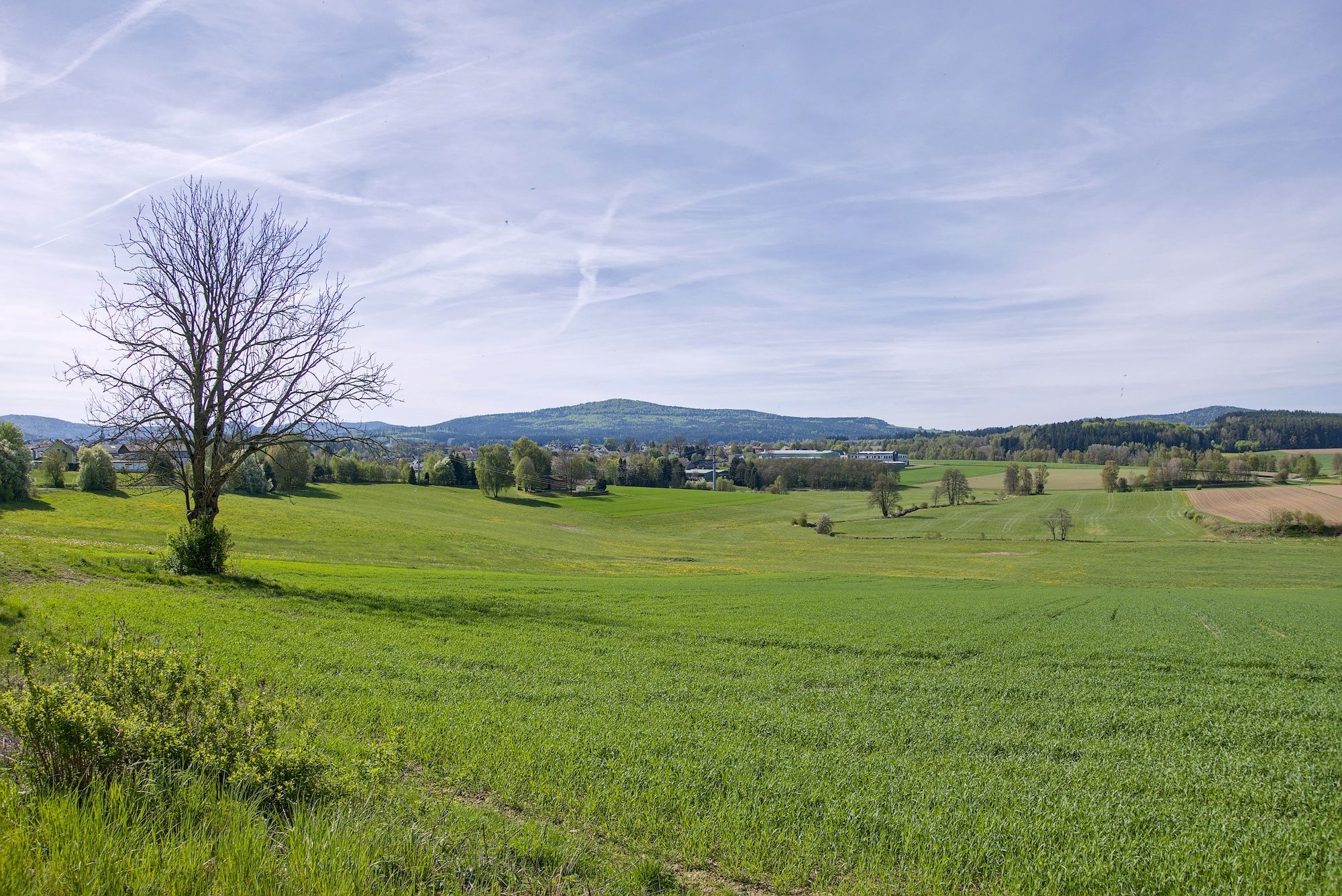 Panoramablick oberhalb von Eslarn