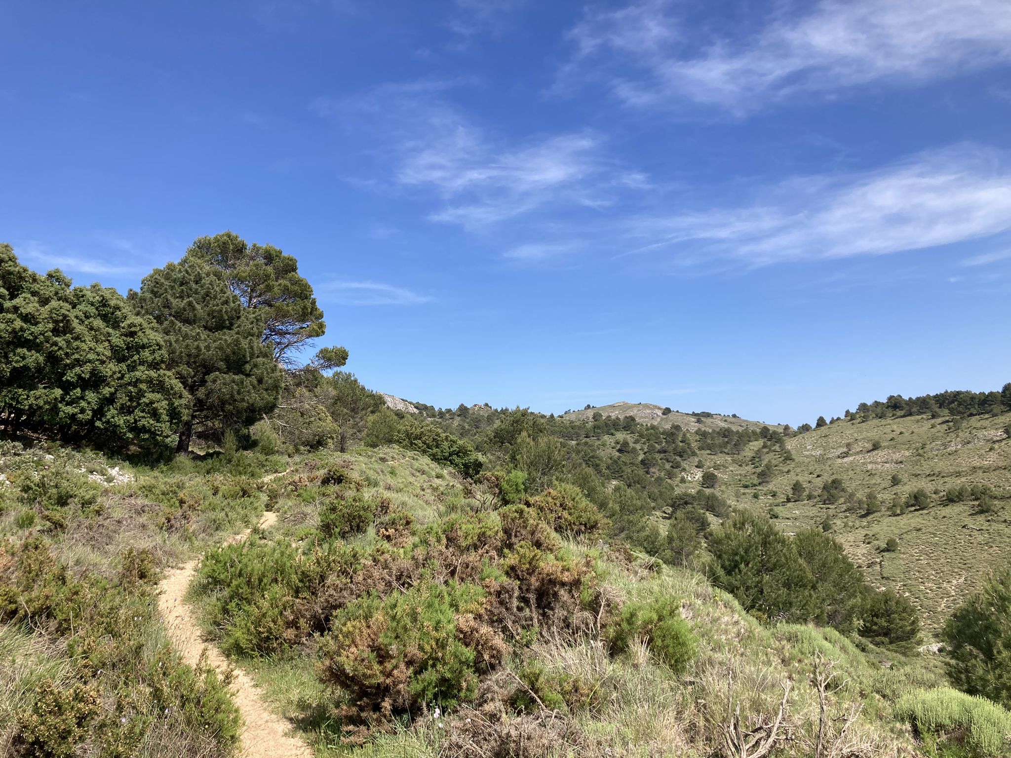 Senda del Serrellar