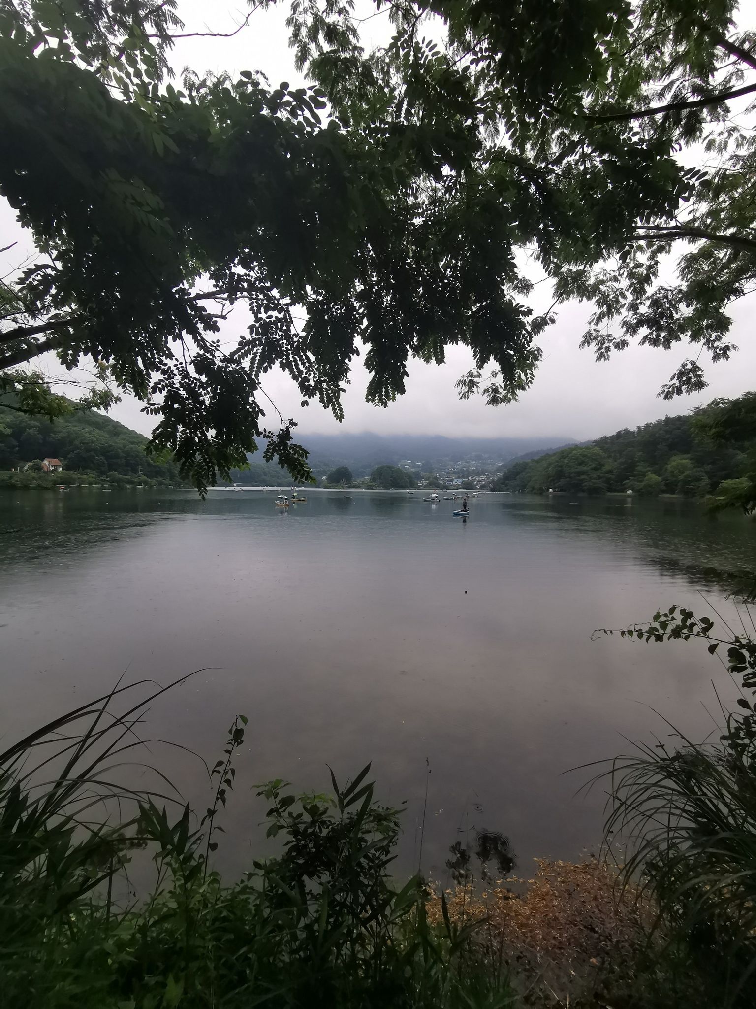 Seeblick