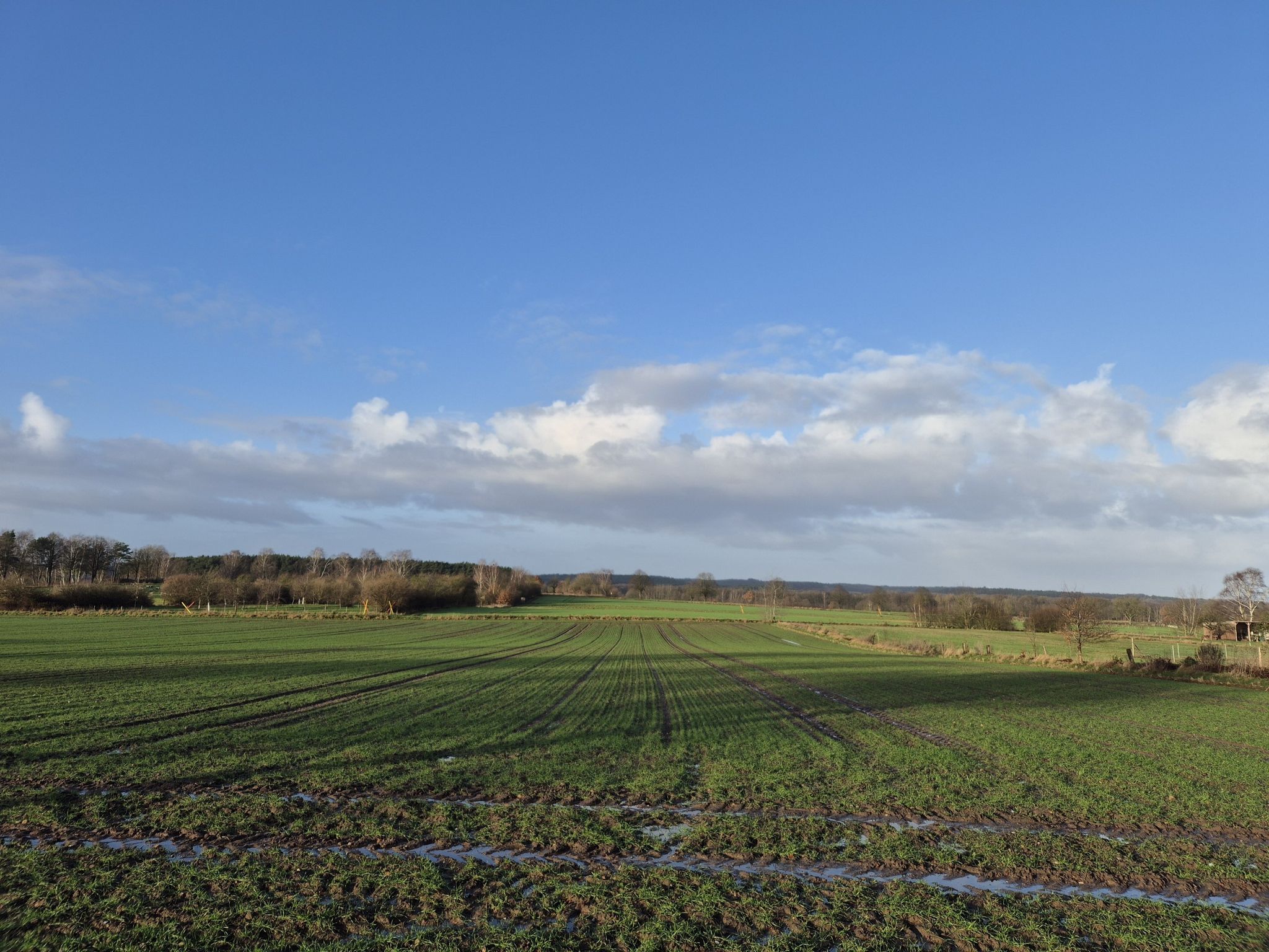 Ausblick über die Landschaft bei Ramelsloh!