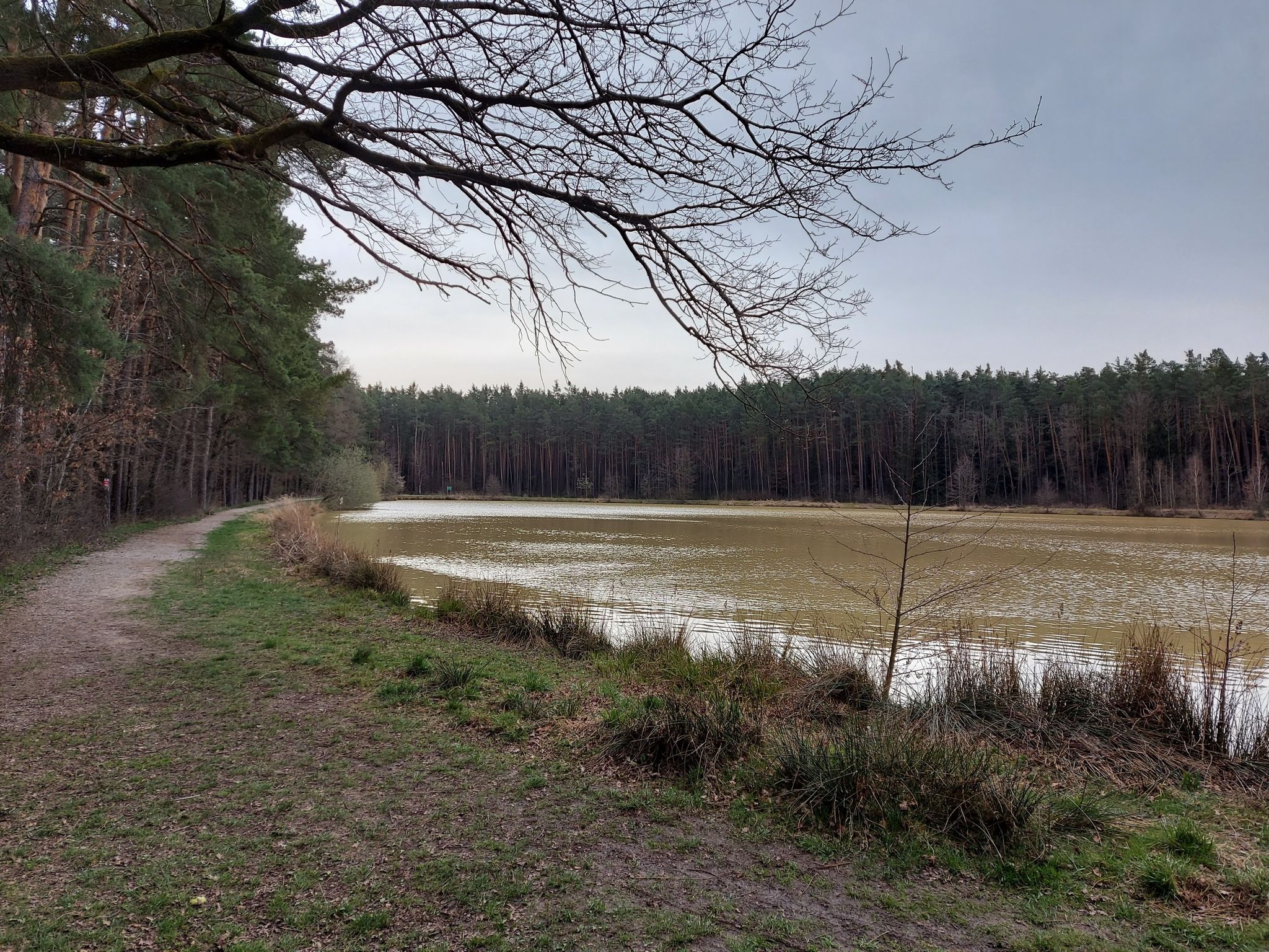 Der Hormesweiher 