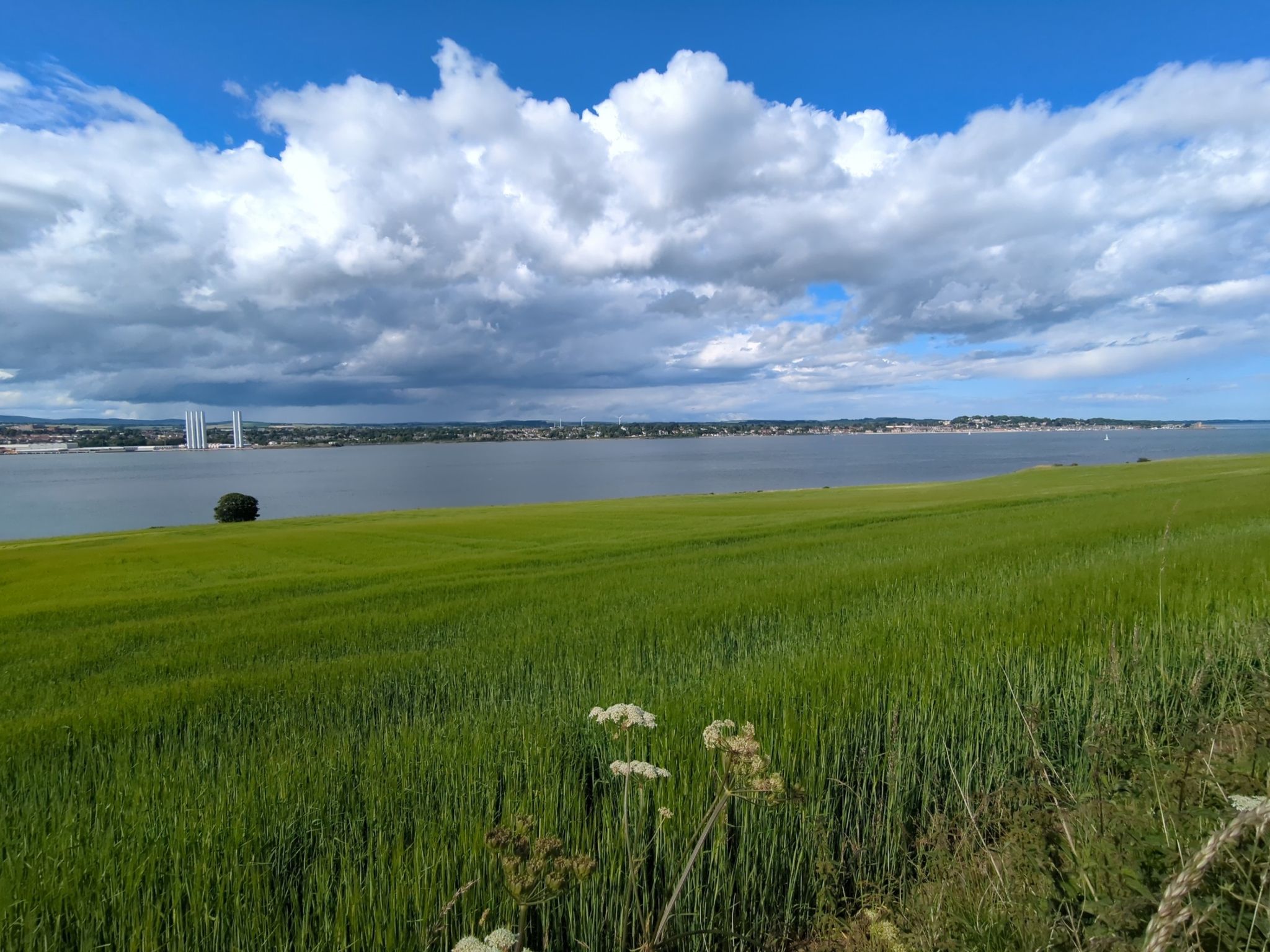 Firth of Tay
