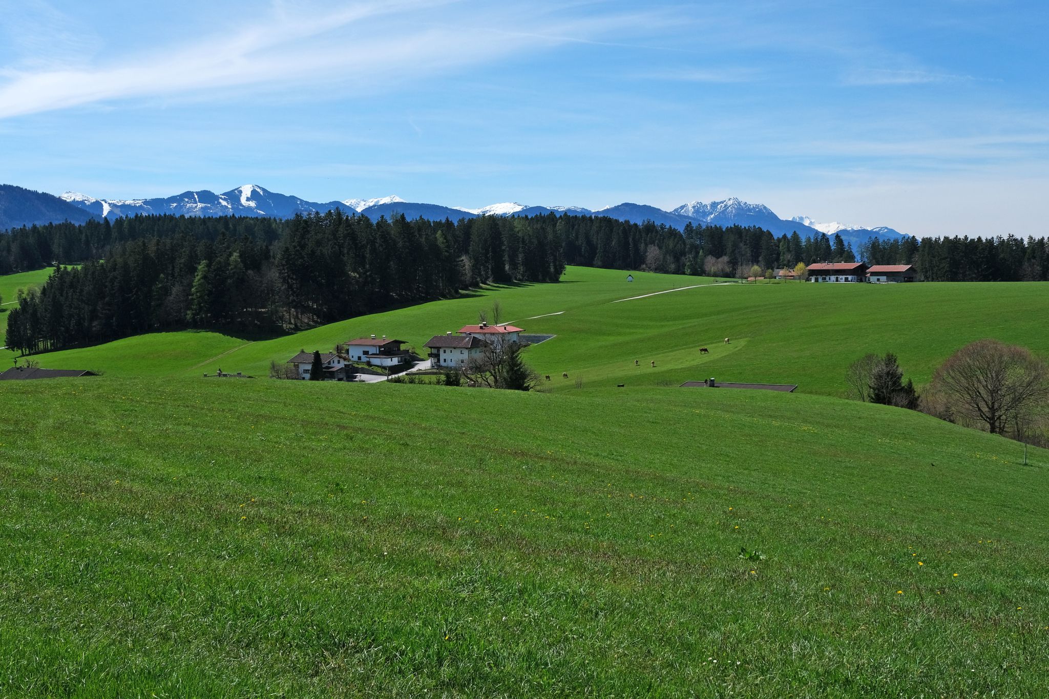 Feldalphorn, Roßkopf, Gr. Galtenberg, Schatzberg, Wiedersberger Horn, Gratlspitz, Kreuzjoch/Kellerjoch (v. li.)