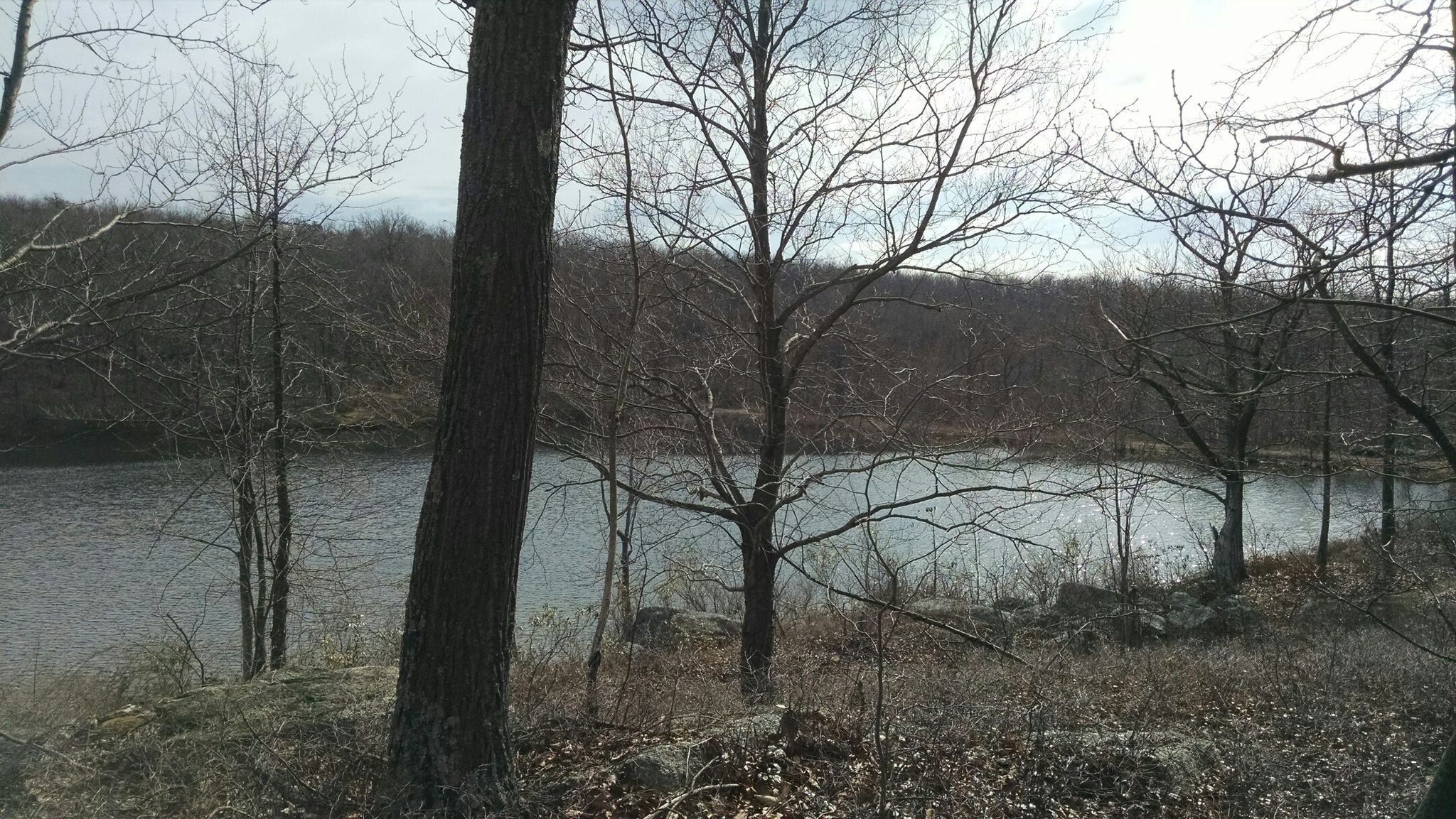 Calm lake surrounded by bare trees and distant hills on a bright day. - O'Conner Reservoir loop from Dick & Nancy Eales Preserve at Moosic Mountain