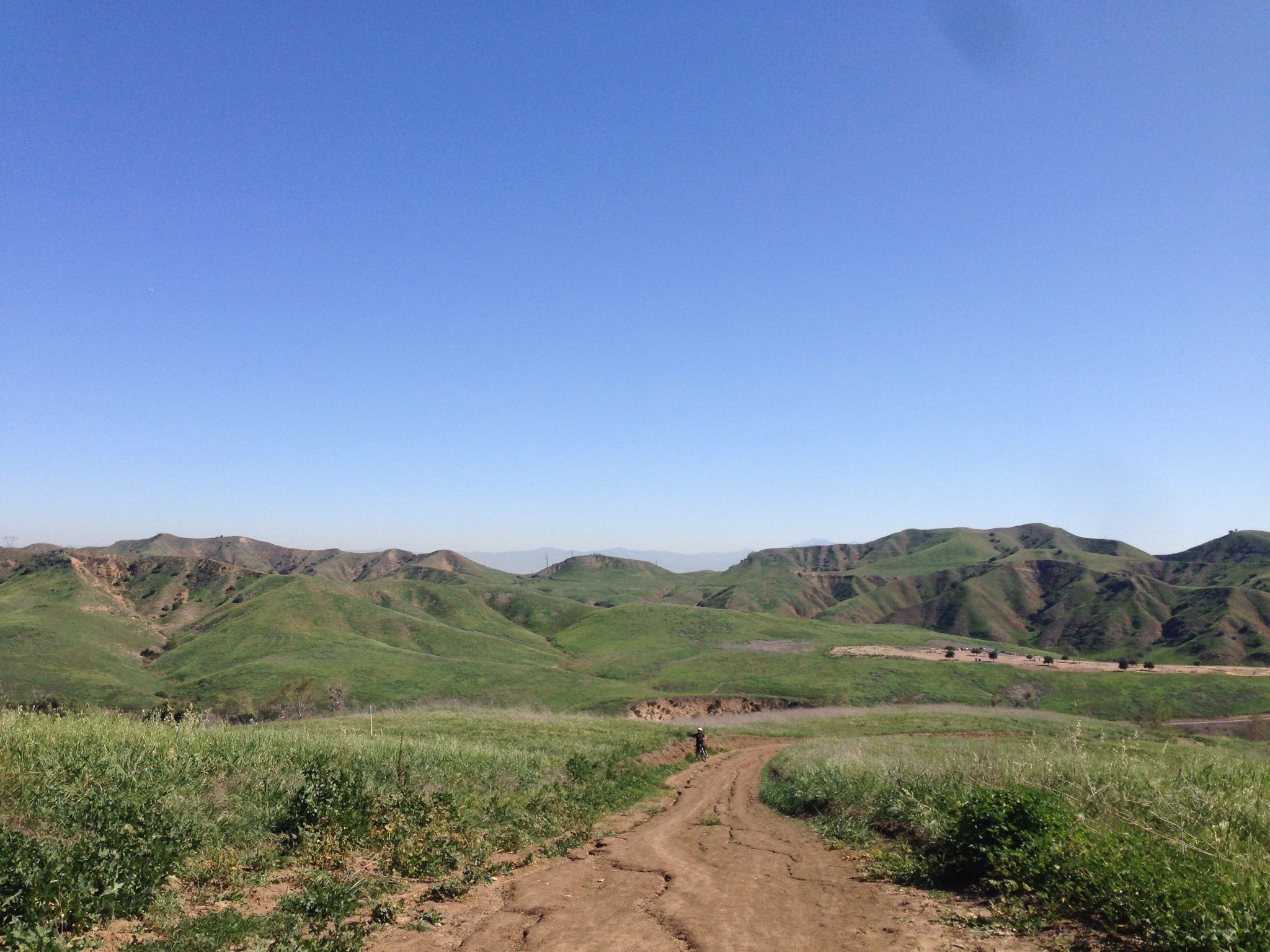 A dirt path winds through bright green hills under a clear blue sky. - Bane Ridge Trail loop from Chino Hills High School