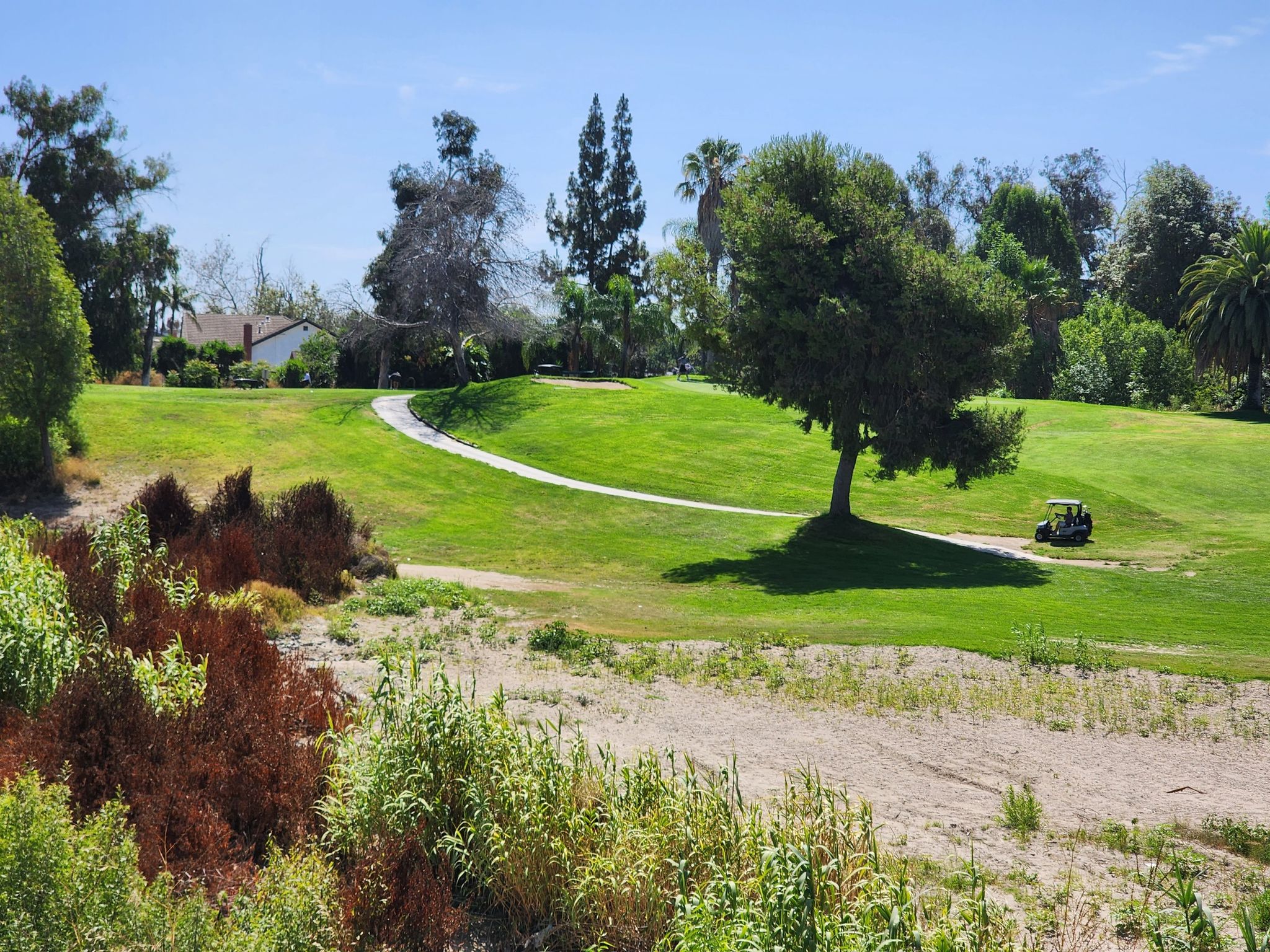 Lush green golf course with a cart, trees, and a distant house. - Bike loop from Edison High School