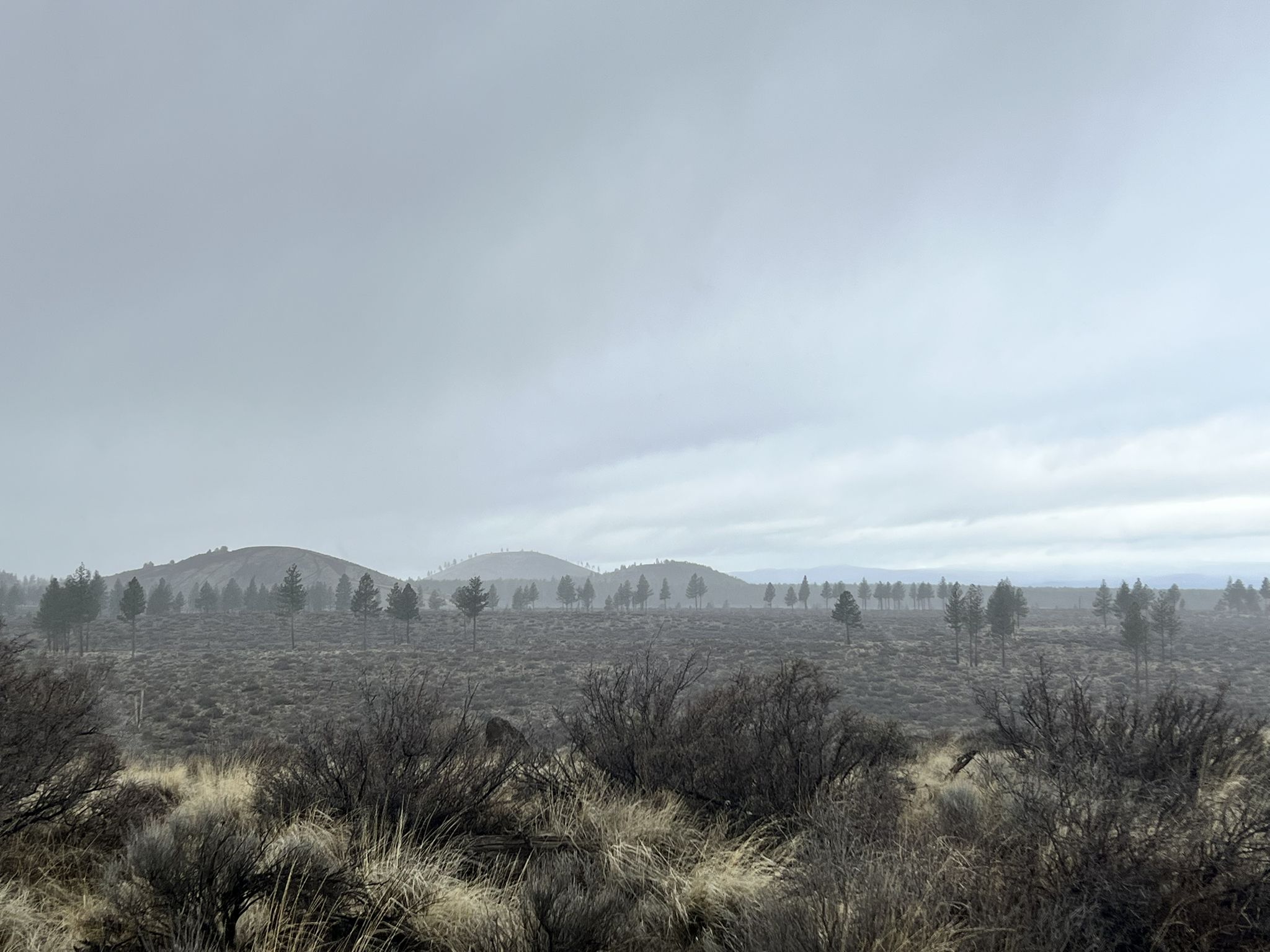 Hazy, overcast landscape with sparse trees and distant hills. - Three Sisters View loop from Eastgate Natural Area