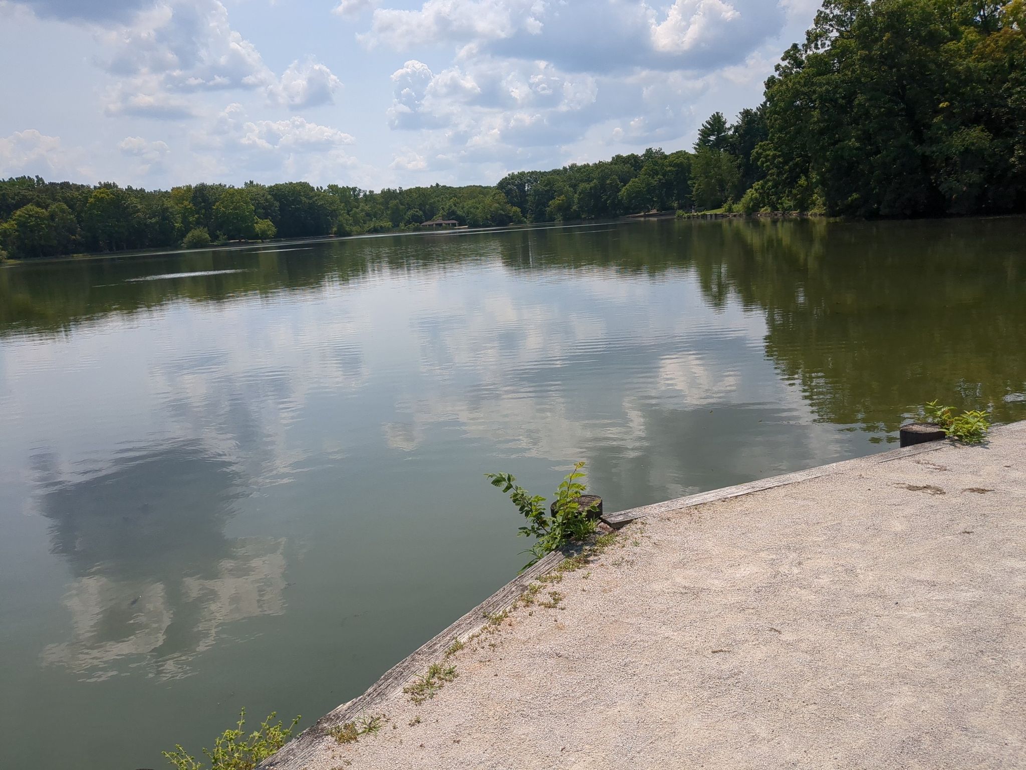 A wide lake with green trees and cloudy sky reflecting on the water. - Great Western Trail – Timber Ridge Trail loop from Herrick Lake Forest Preserve