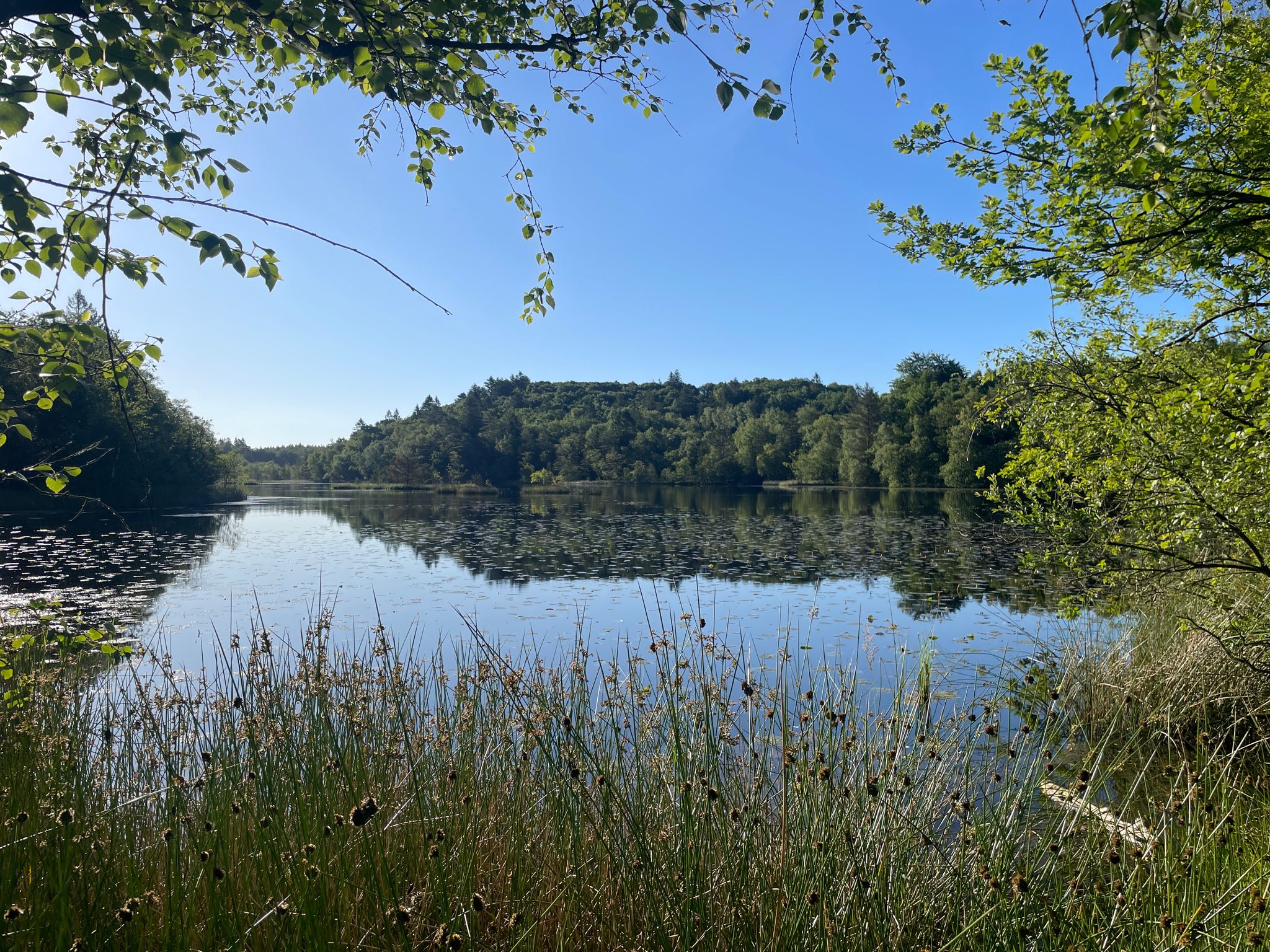 Skallerund Sø