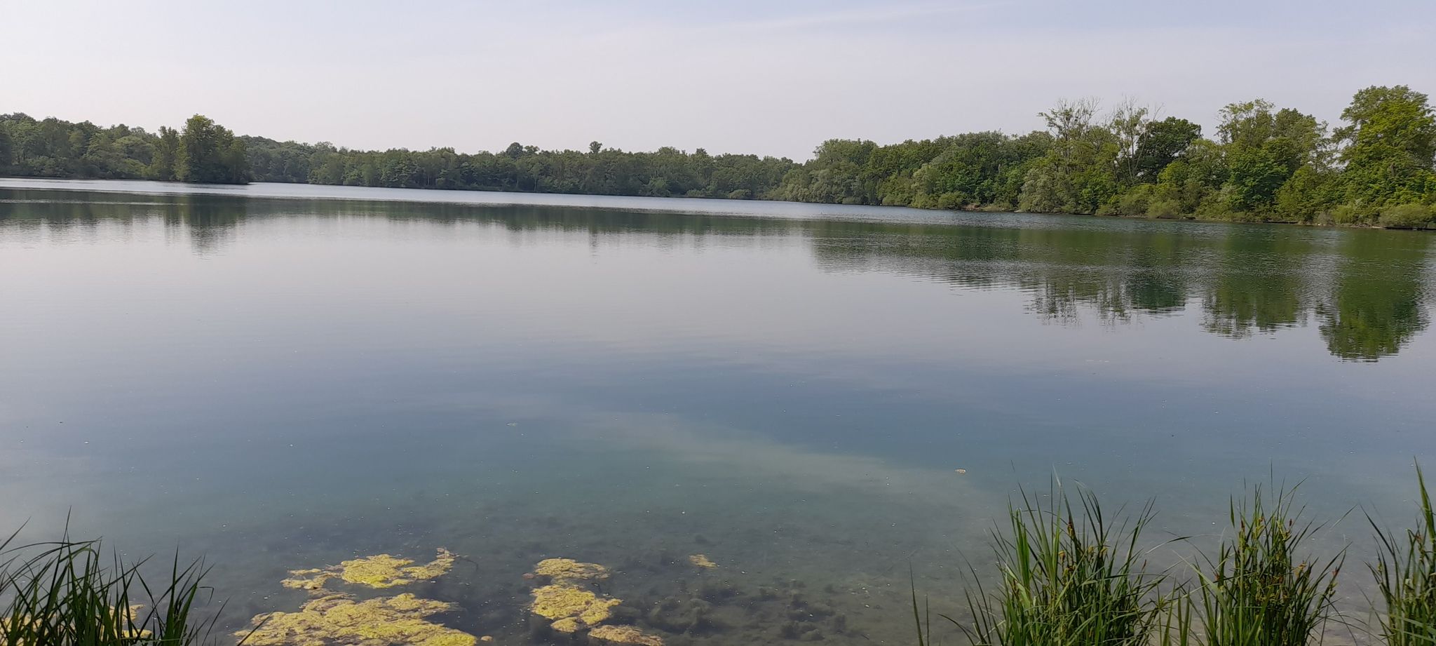 Alter Baggersee Leiteshheim