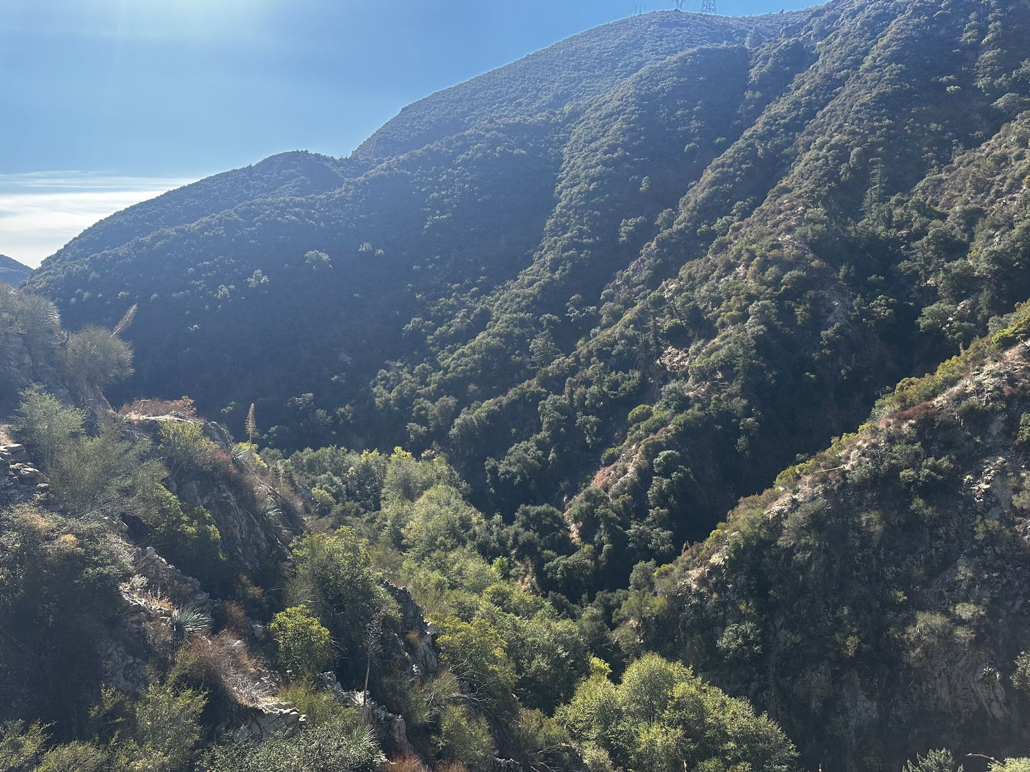 Sunlit, steep, green mountainsides with a deep, tree-filled valley below. - Gabrielino Trail: Switzer Falls to Hahamongna Watershed