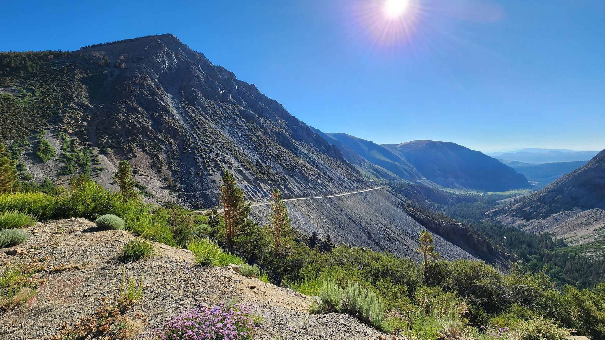 Sunny mountain valley with a winding road and distant peaks. - Tioga Pass Valley Lookout – Tioga Pass Road loop from Lee Vining