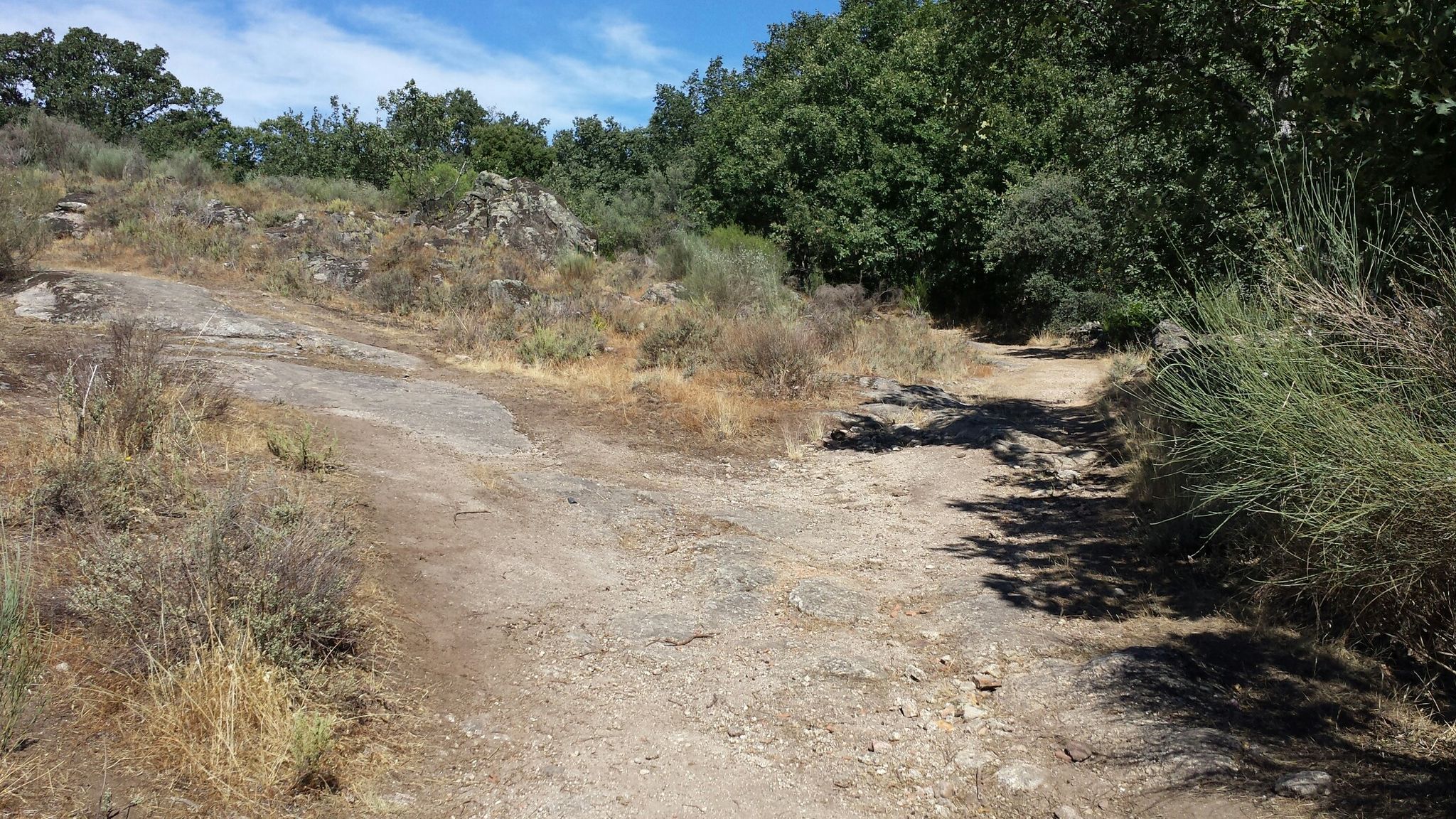 Weggabelung / crossroad
