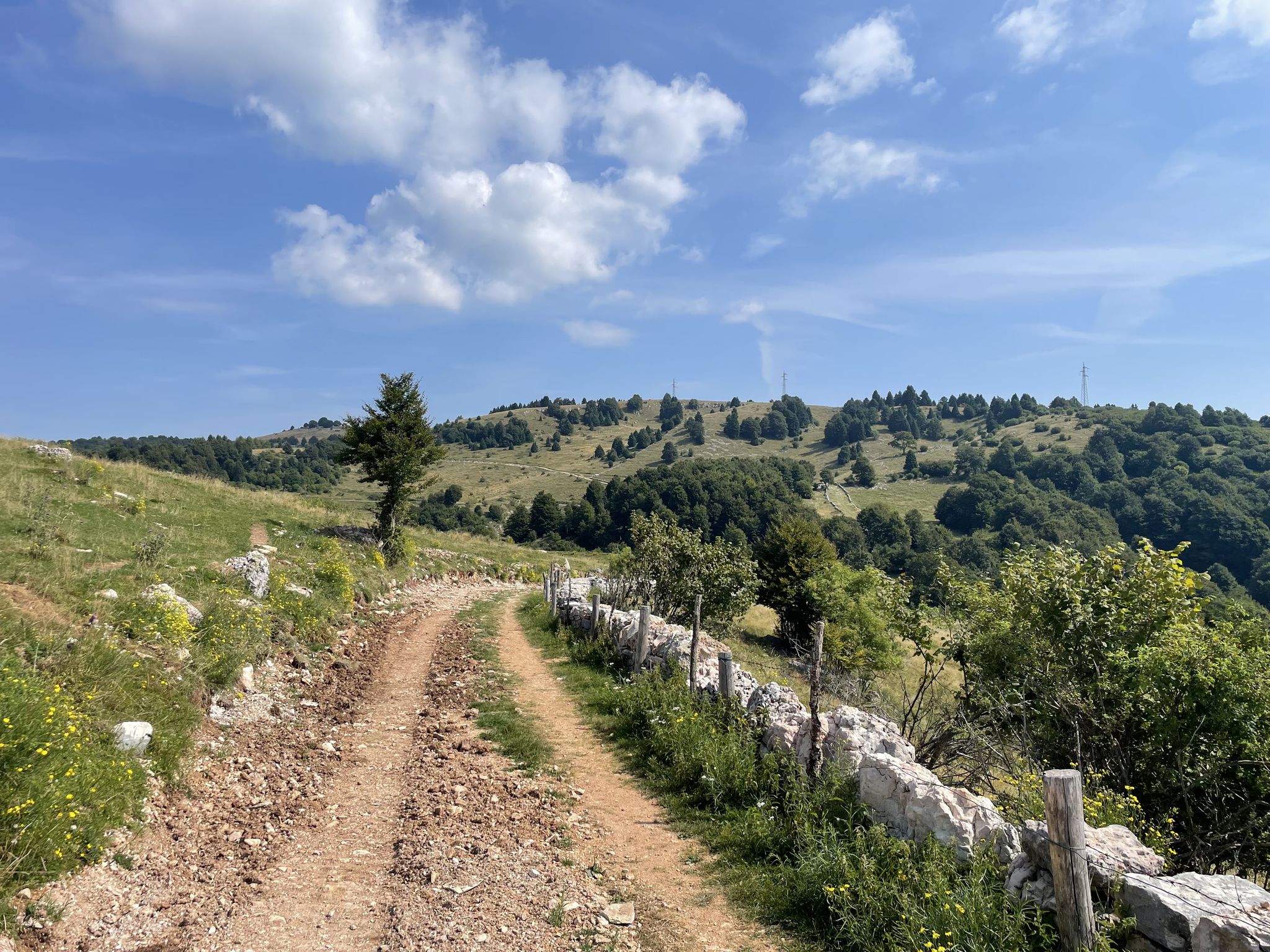 Bellissimo tratto di sterrato verso nord