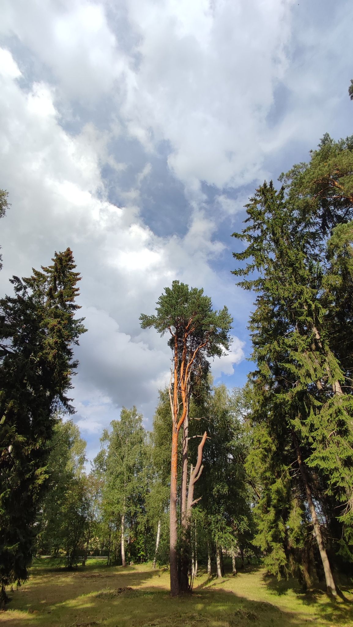 Sigulda