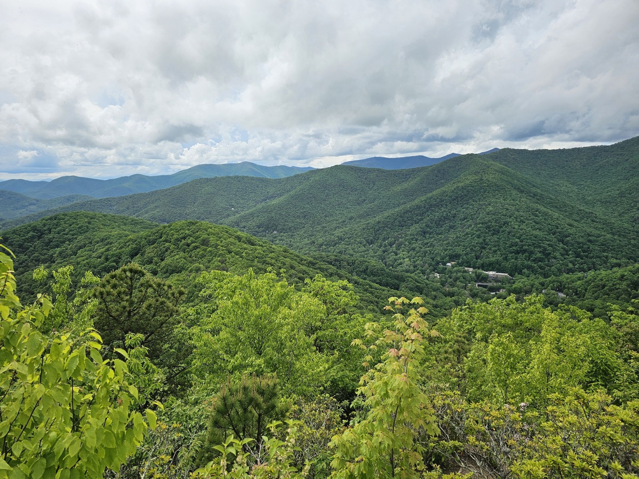 Lush green mountains under an overcast sky, with dense forest in the foreground. - Lookout Trail