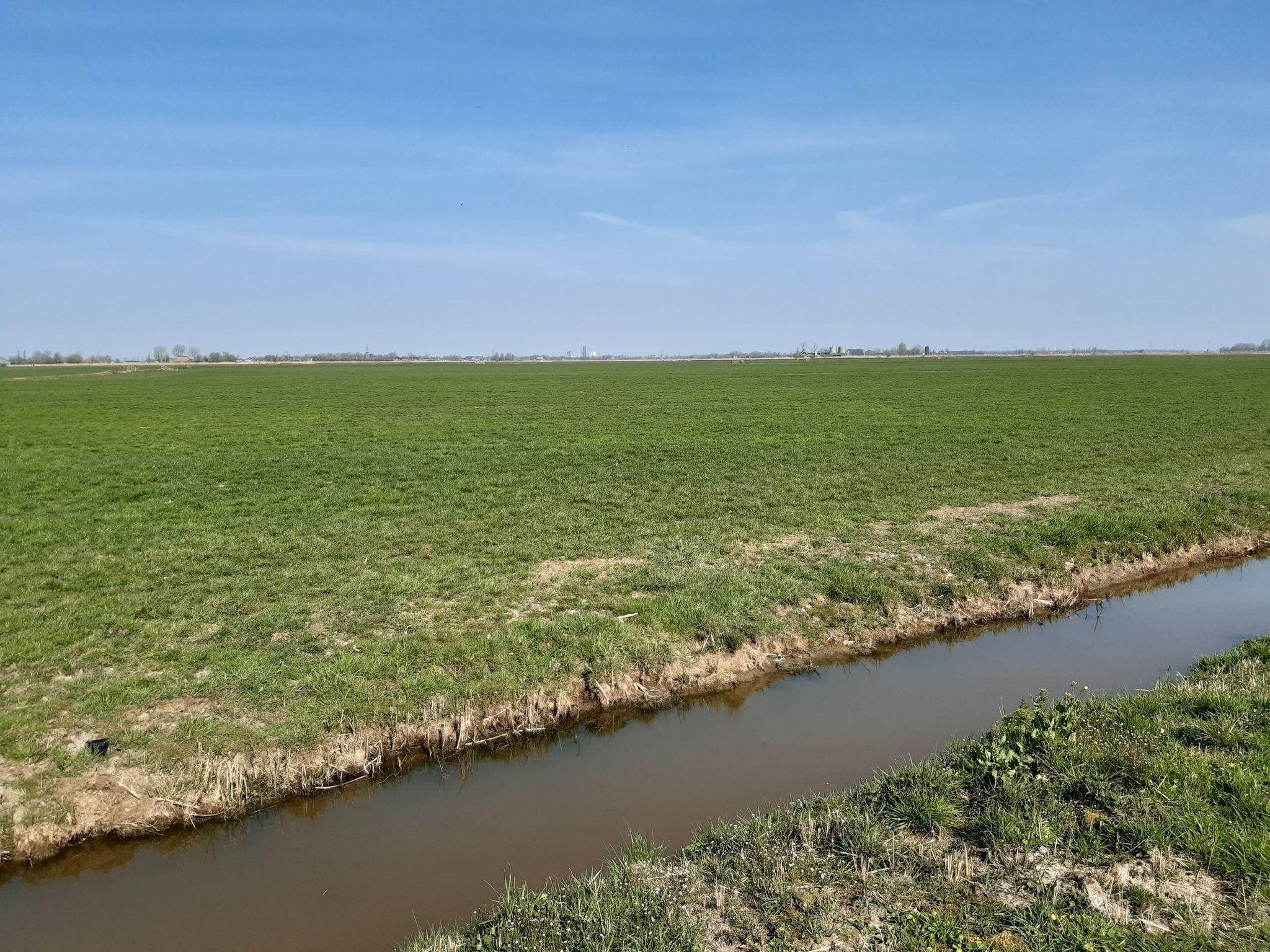 Eagum