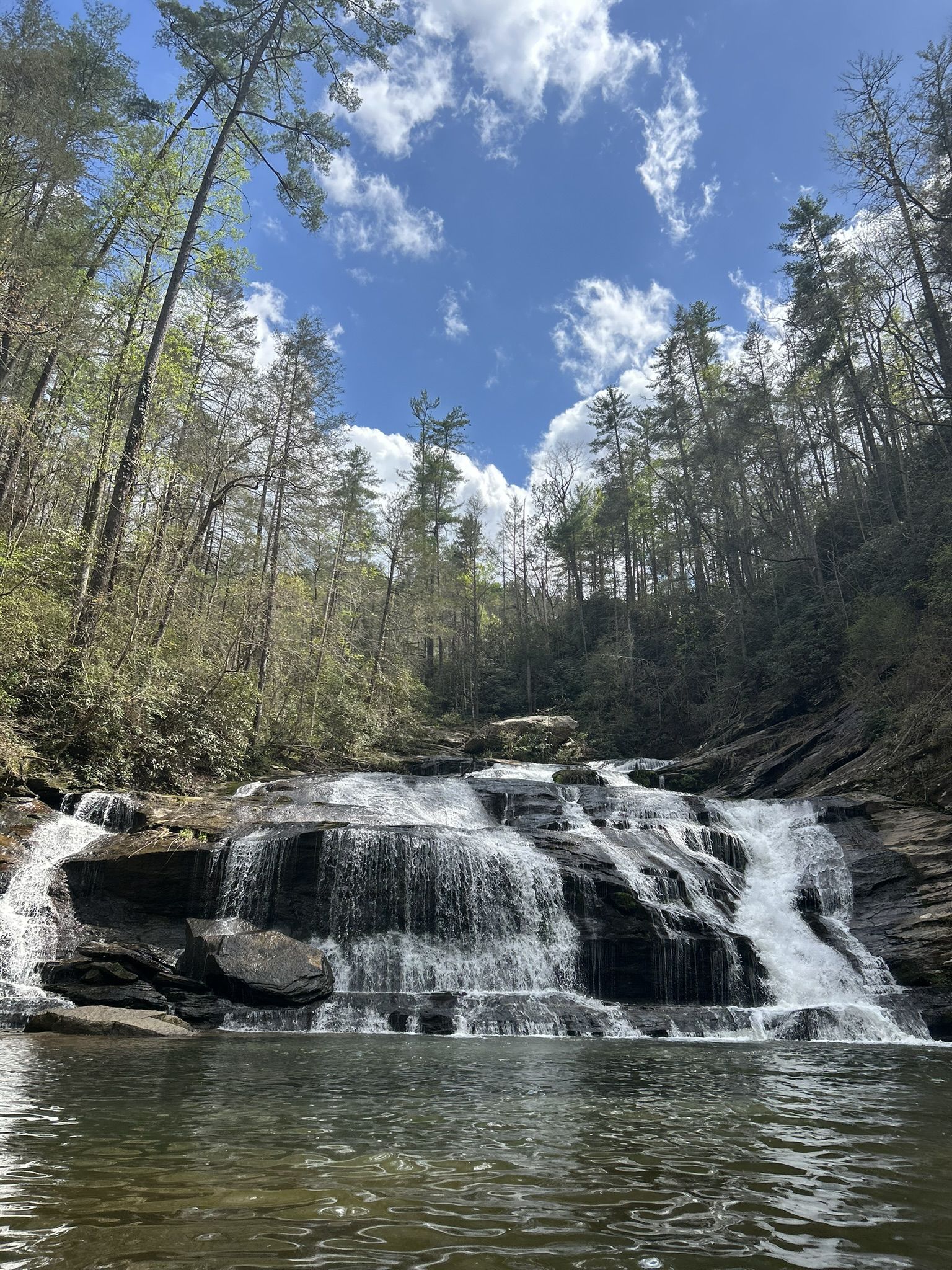 Sunny multi-tiered waterfall cascading into a pool, surrounded by tall green trees. - Panther Creek Trail