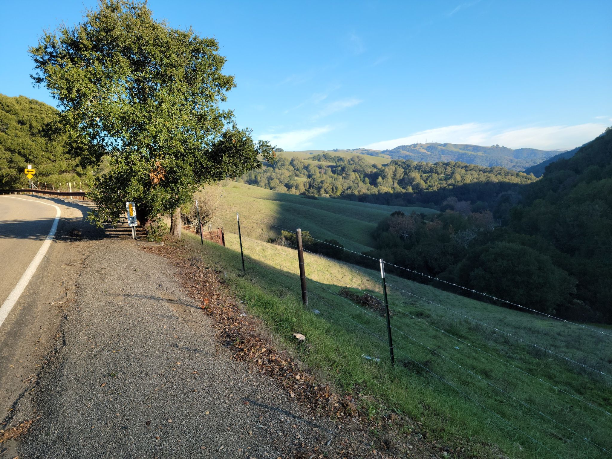 A paved road next to a large tree, overlooking sunny green rolling hills. - Palomares Road from Niles Canyon