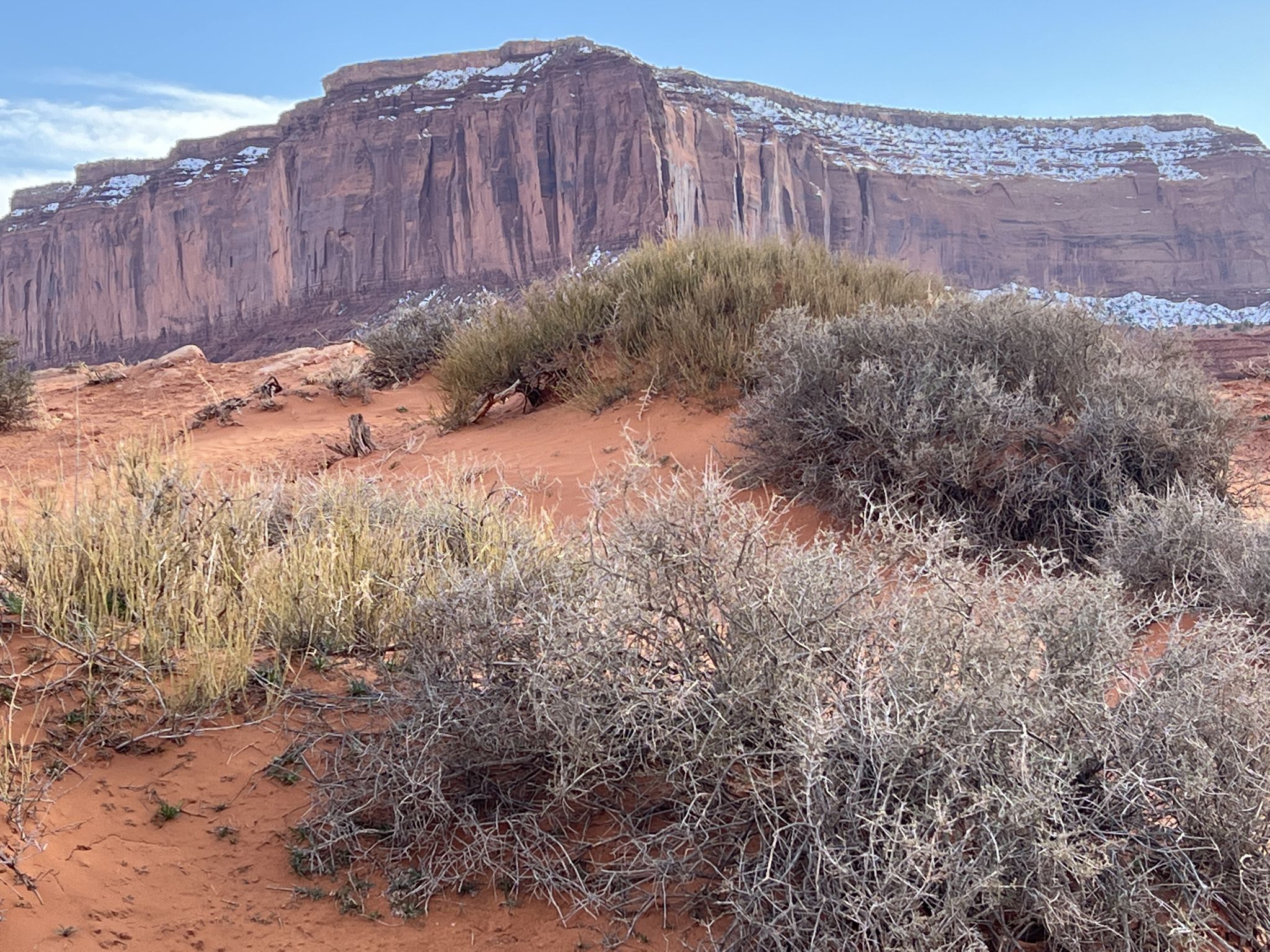 Desert shrubs in foreground with a large red rock mesa partially covered in snow. - Hiking loop from Monument Valley Navajo Tribal Park