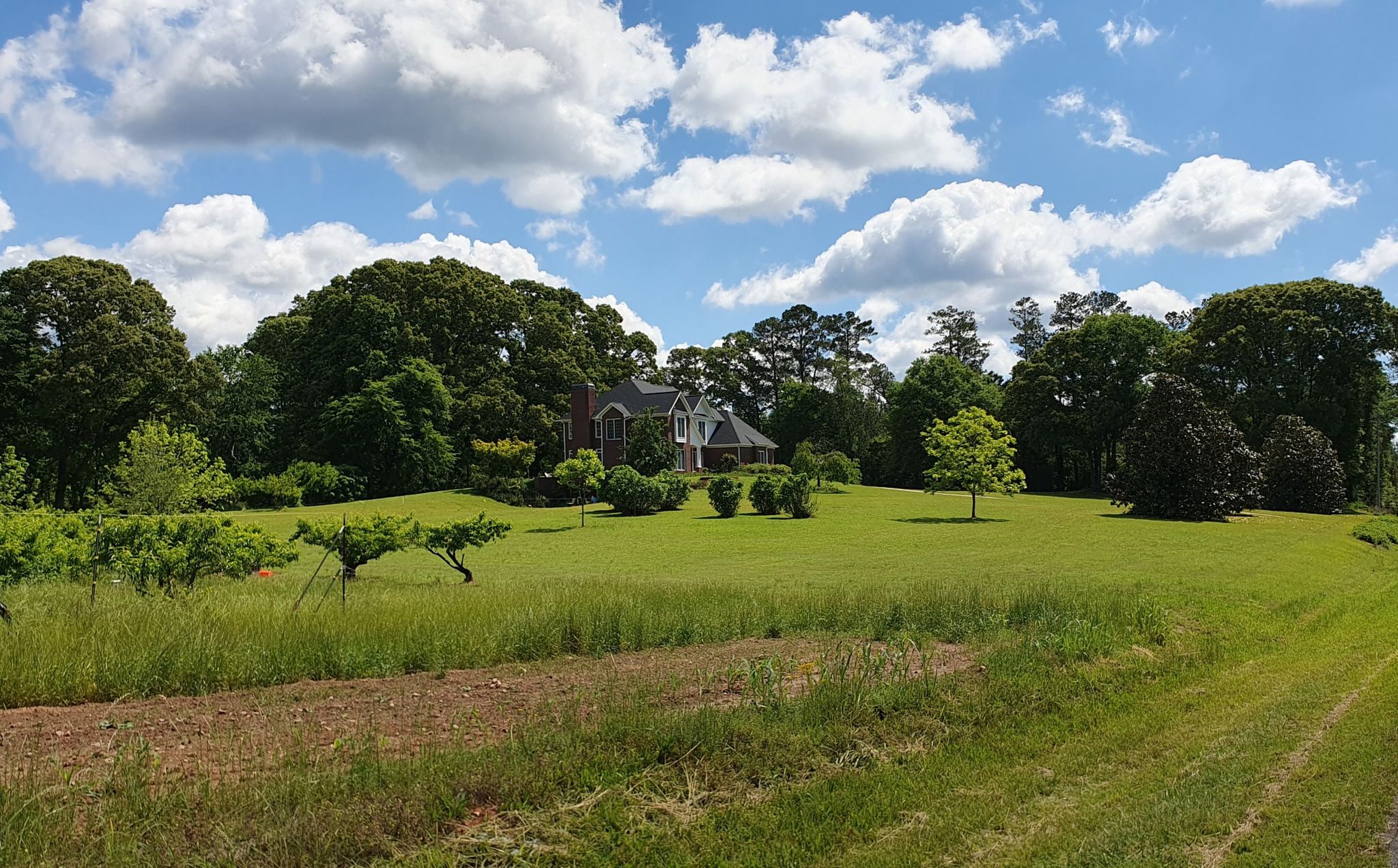 Large house nestled among trees, green lawn, under a partly cloudy sky. - Clover Lake – Lake Horton loop from Flat Creek Nature Area