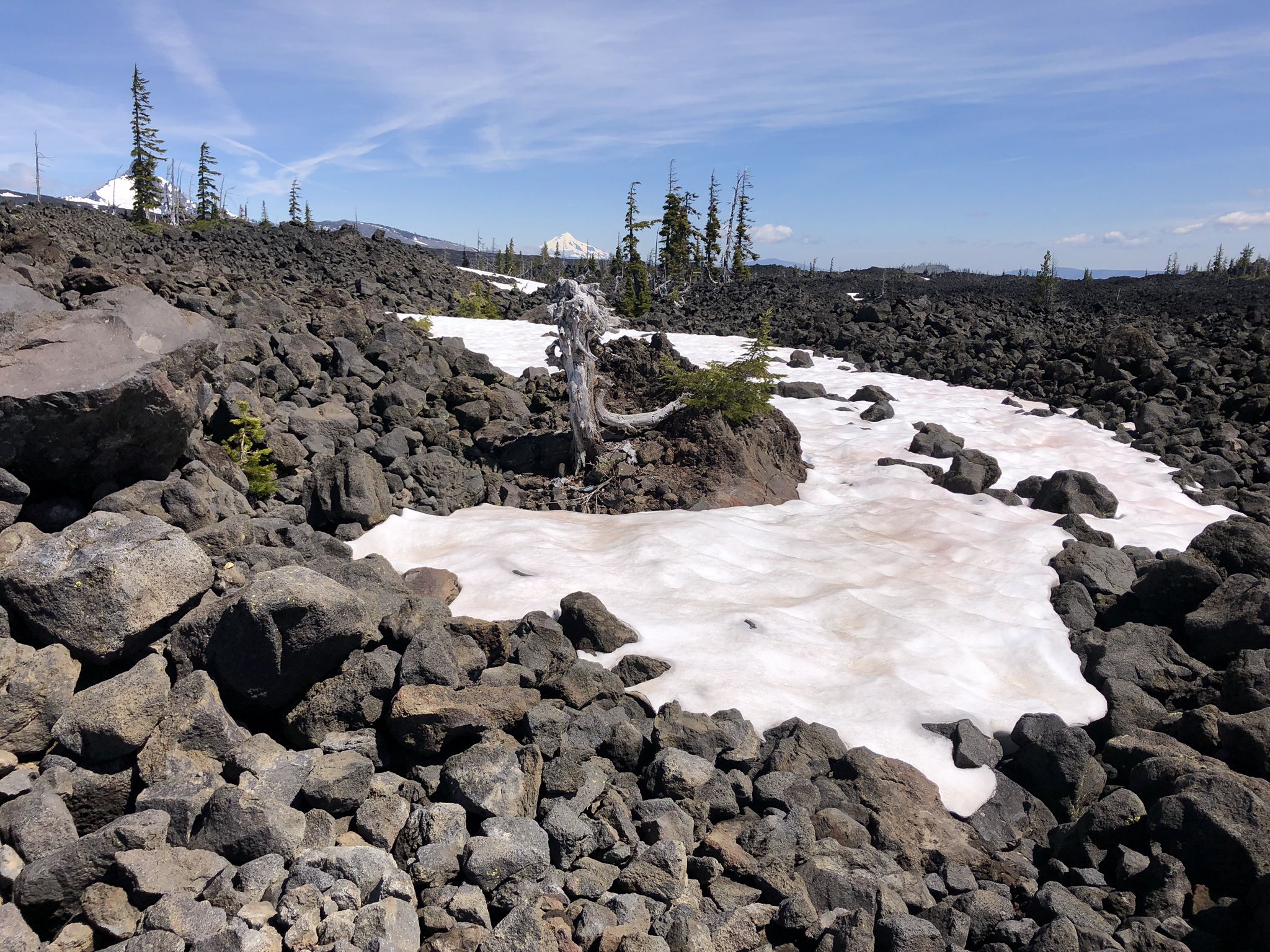 Patches of snow on dark, rocky ground with sparse trees under a bright sky. - Dee Wright Observatory and Lava Trail run — Mount Washington Wilderness