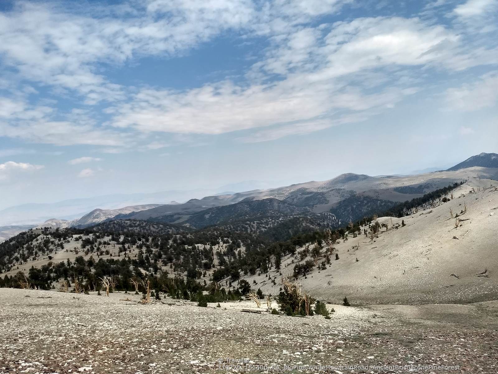 Wide mountain view with scattered trees and rocky terrain under a cloudy sky. - White Mountain Road