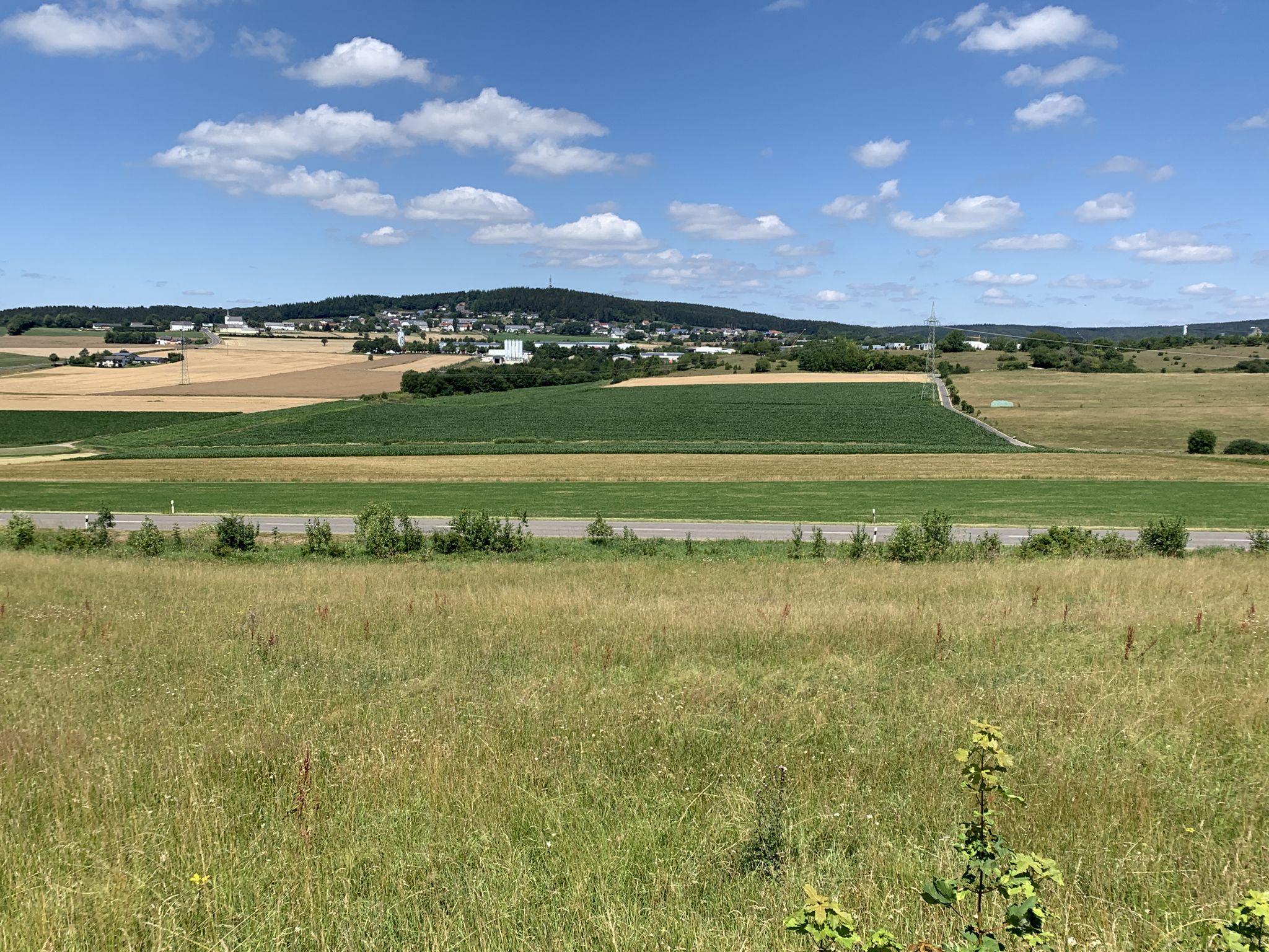 Weinsheim 