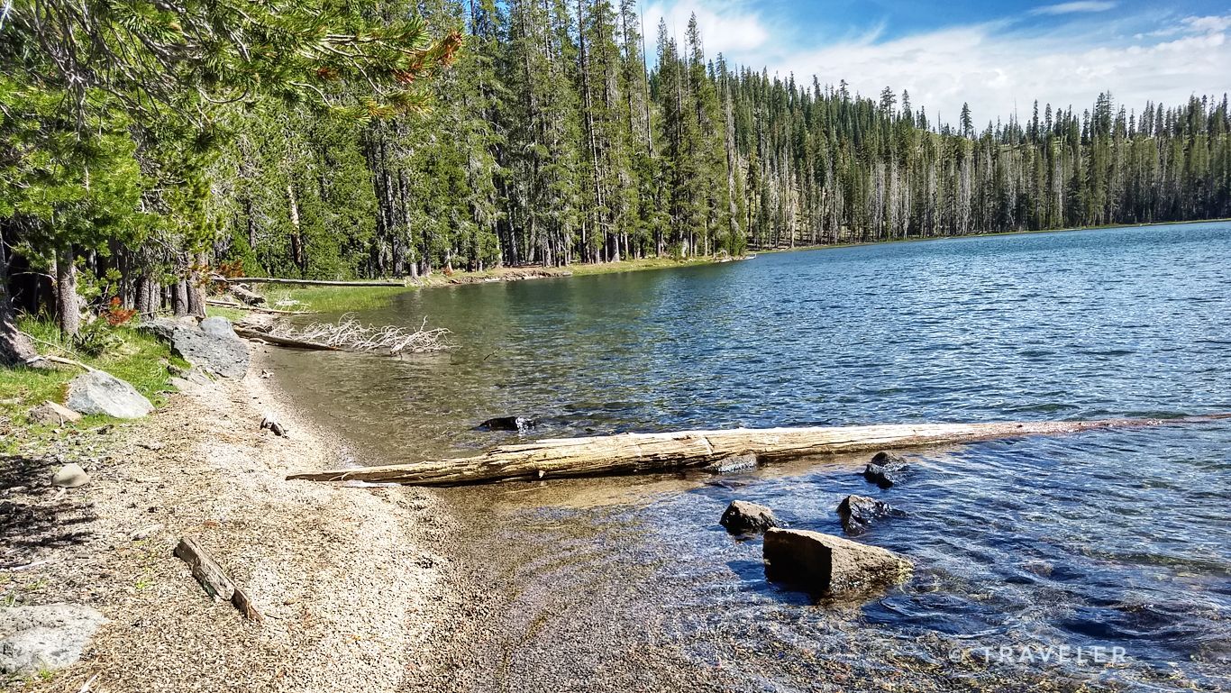 A sandy lake shore with a large fallen log, green forest, partly cloudy sky. - South Lakes Loop (Echo, Upper/Lower Twin, Swan, Summit)
