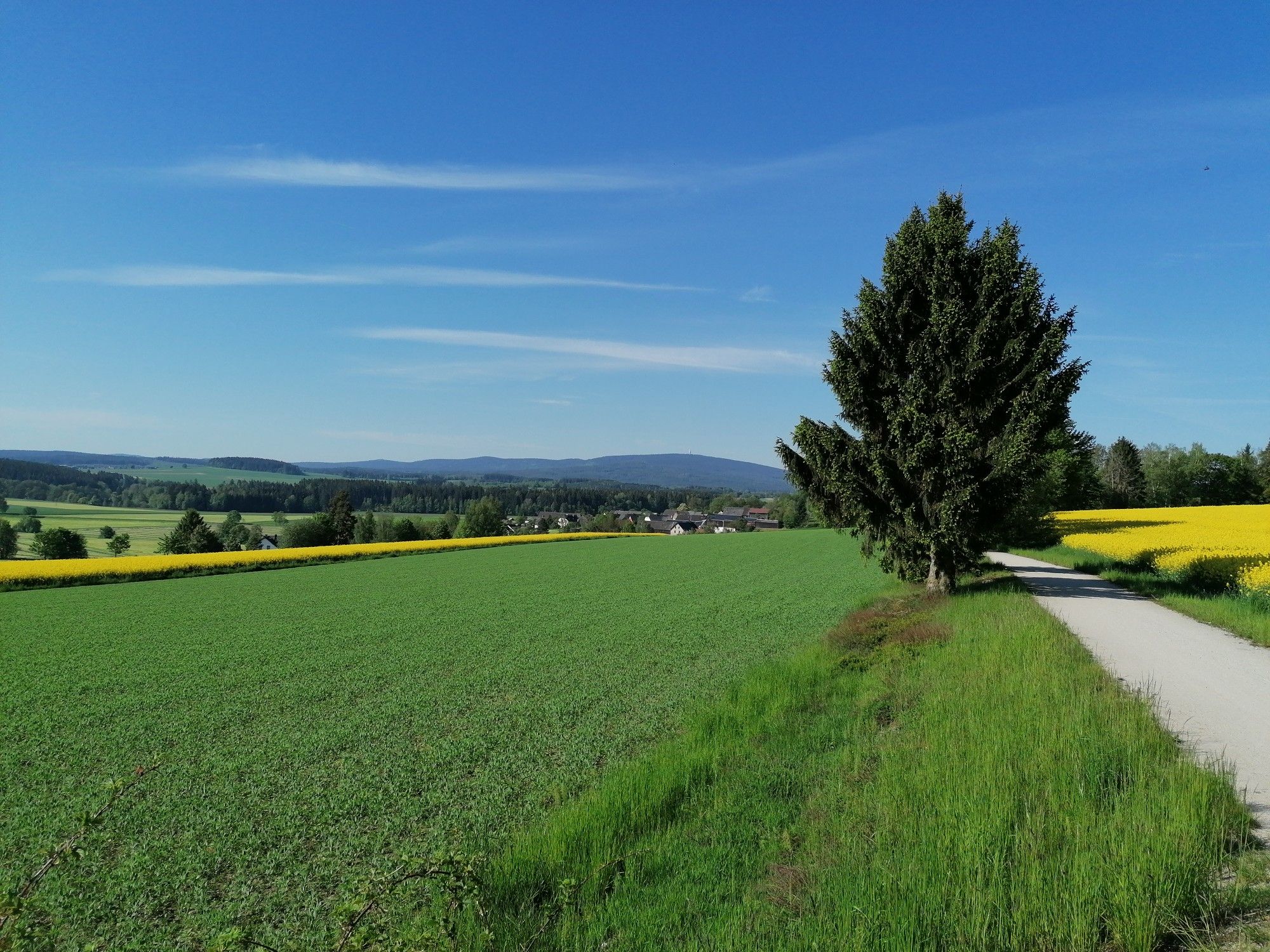 Blick zum Schneeberg 
