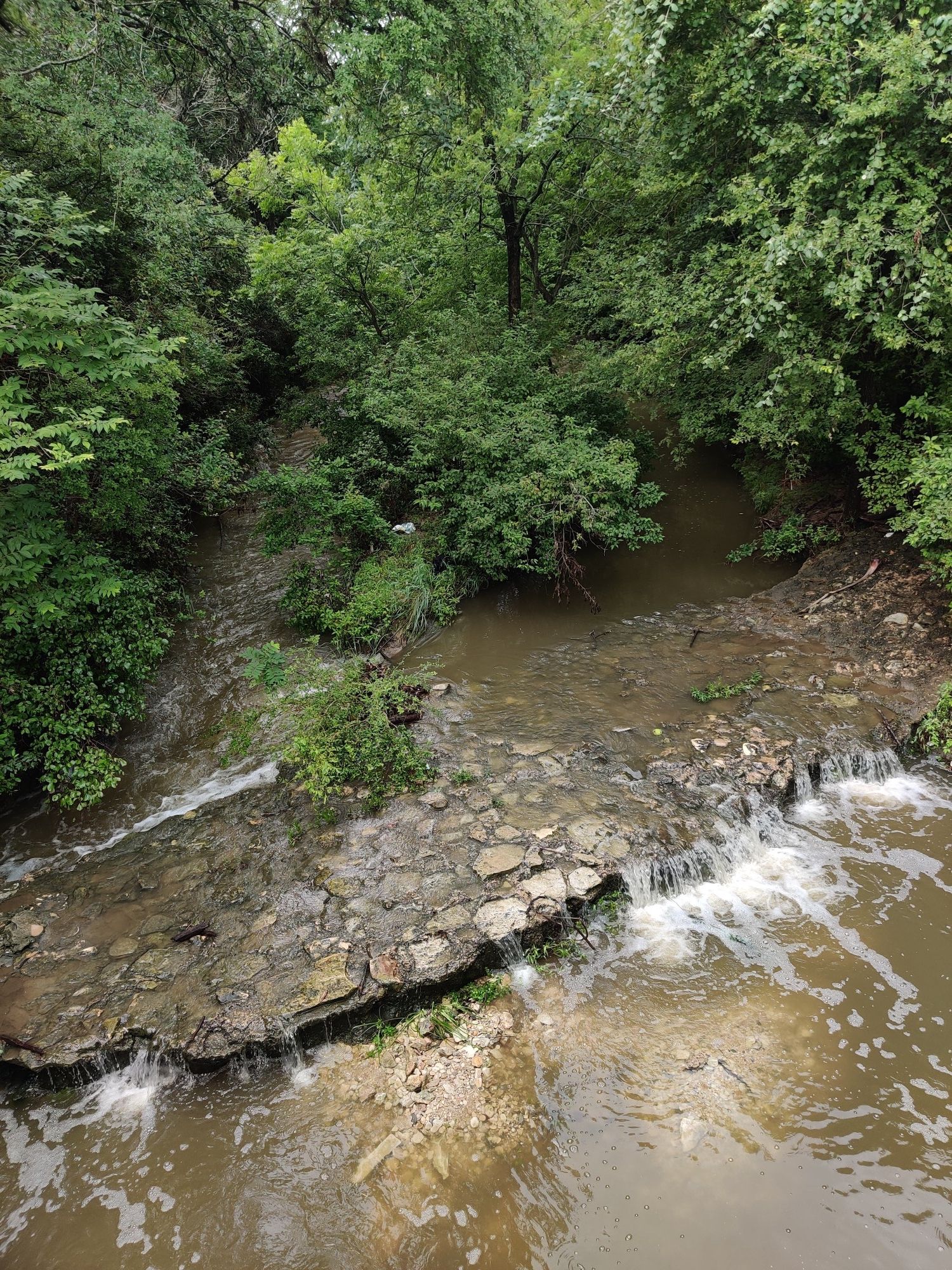 An overhead view of a small waterfall in a rocky stream, surrounded by green trees. - North walnut creek trail – Northern Walnut Creek Trail loop from Walnut Creek Metropolitan Park