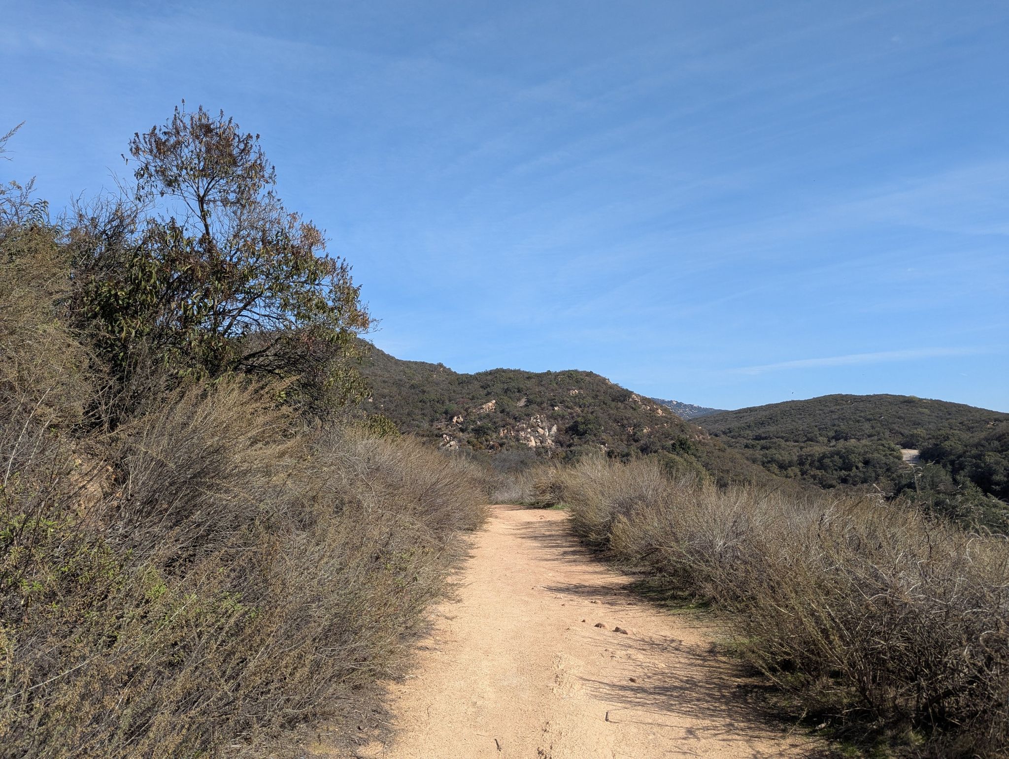 Dirt path winding through dry brush and hills under a clear sky. - Sage Trail to Coyote Run Trail Loop
