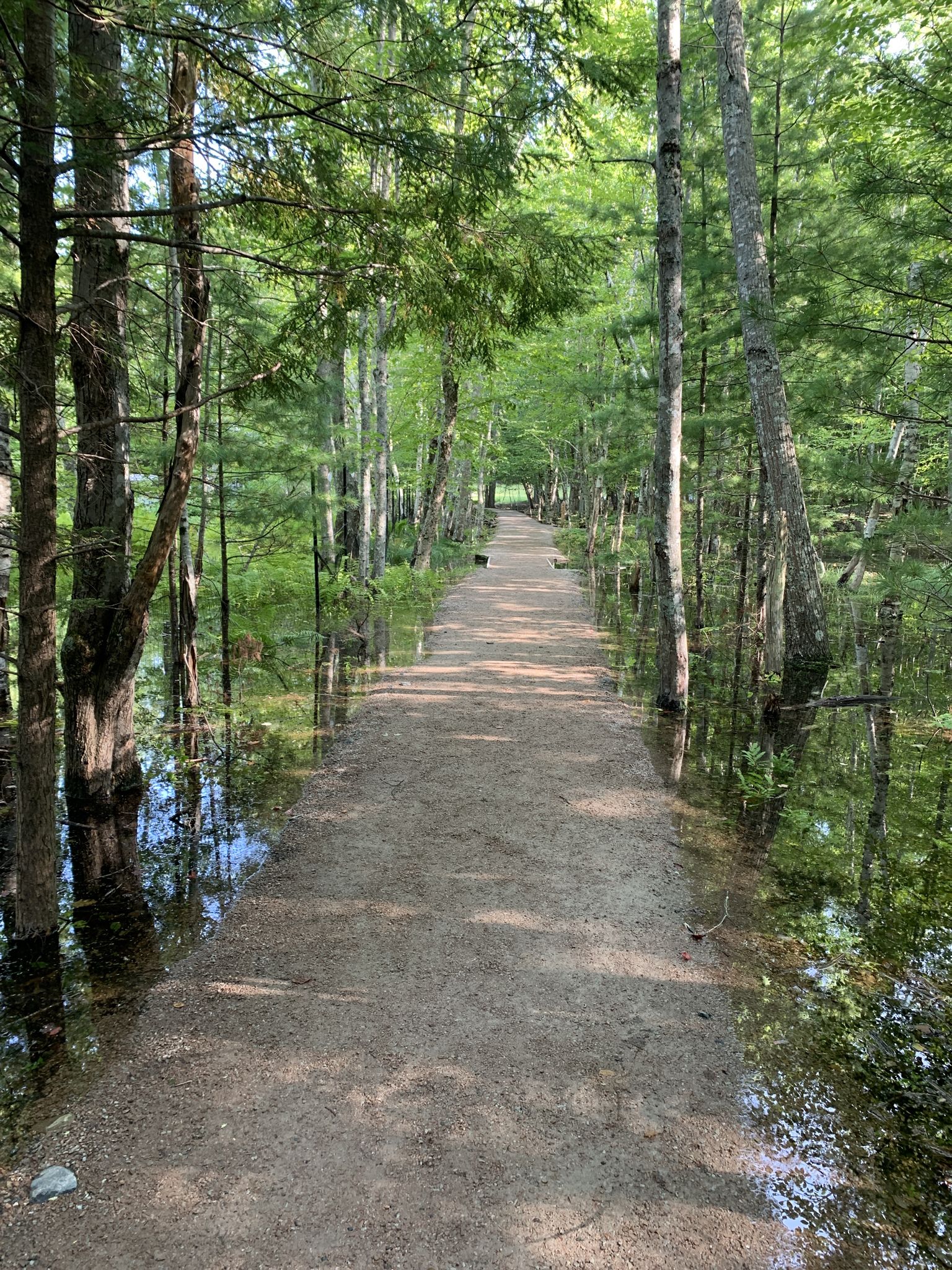 A straight dirt path through a forest with water on both sides. - Jesup Path Boardwalk – Grant Park loop from Bar Harbor