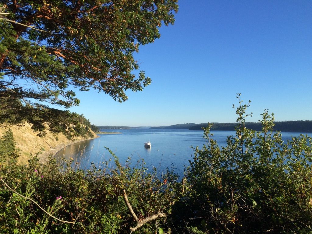 A boat anchored in a calm bay, framed by green trees and bushes. - Anti-Aircraft Battery Trail, Bluff Trail, and Lagoon Loop