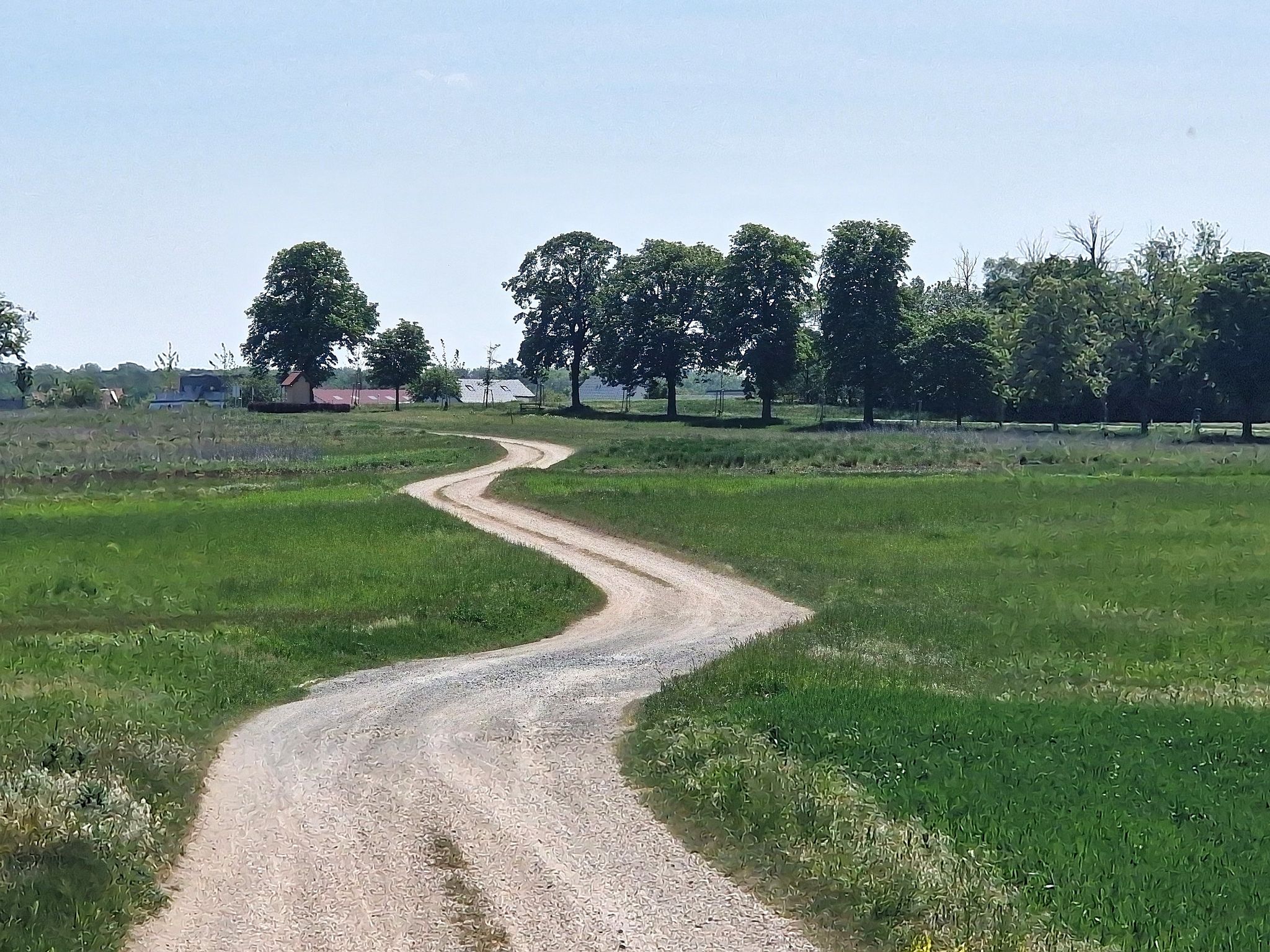 "Schlangen-Graveln"