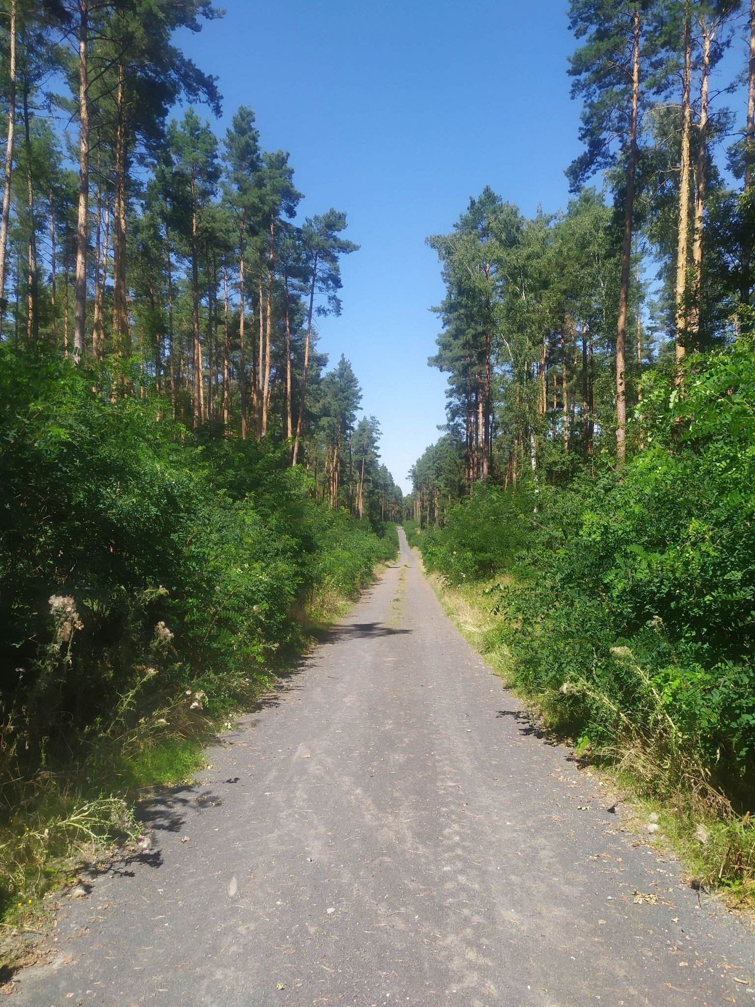 pożarowa kierunek Lubin