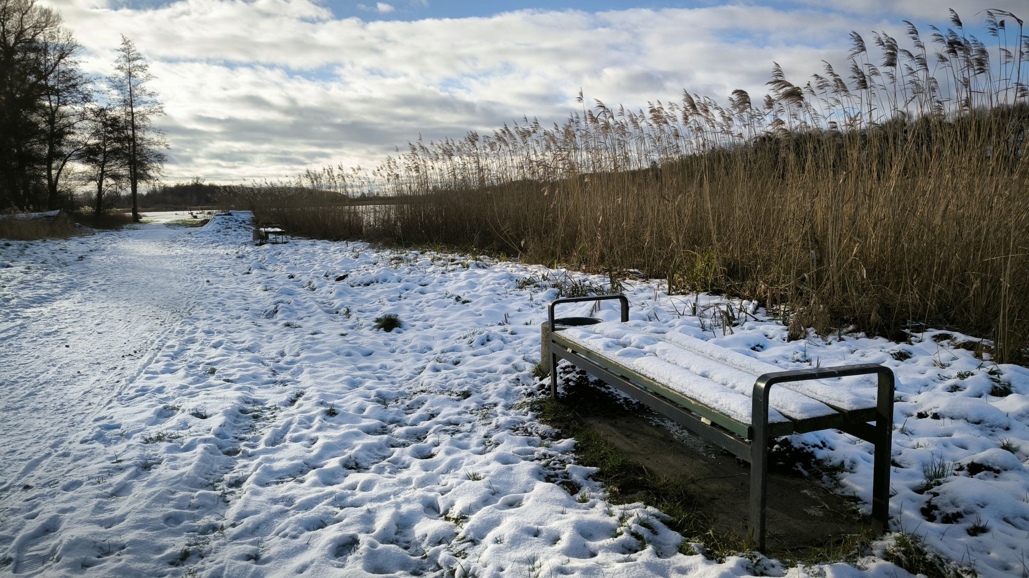 Mühlenteich Friedland