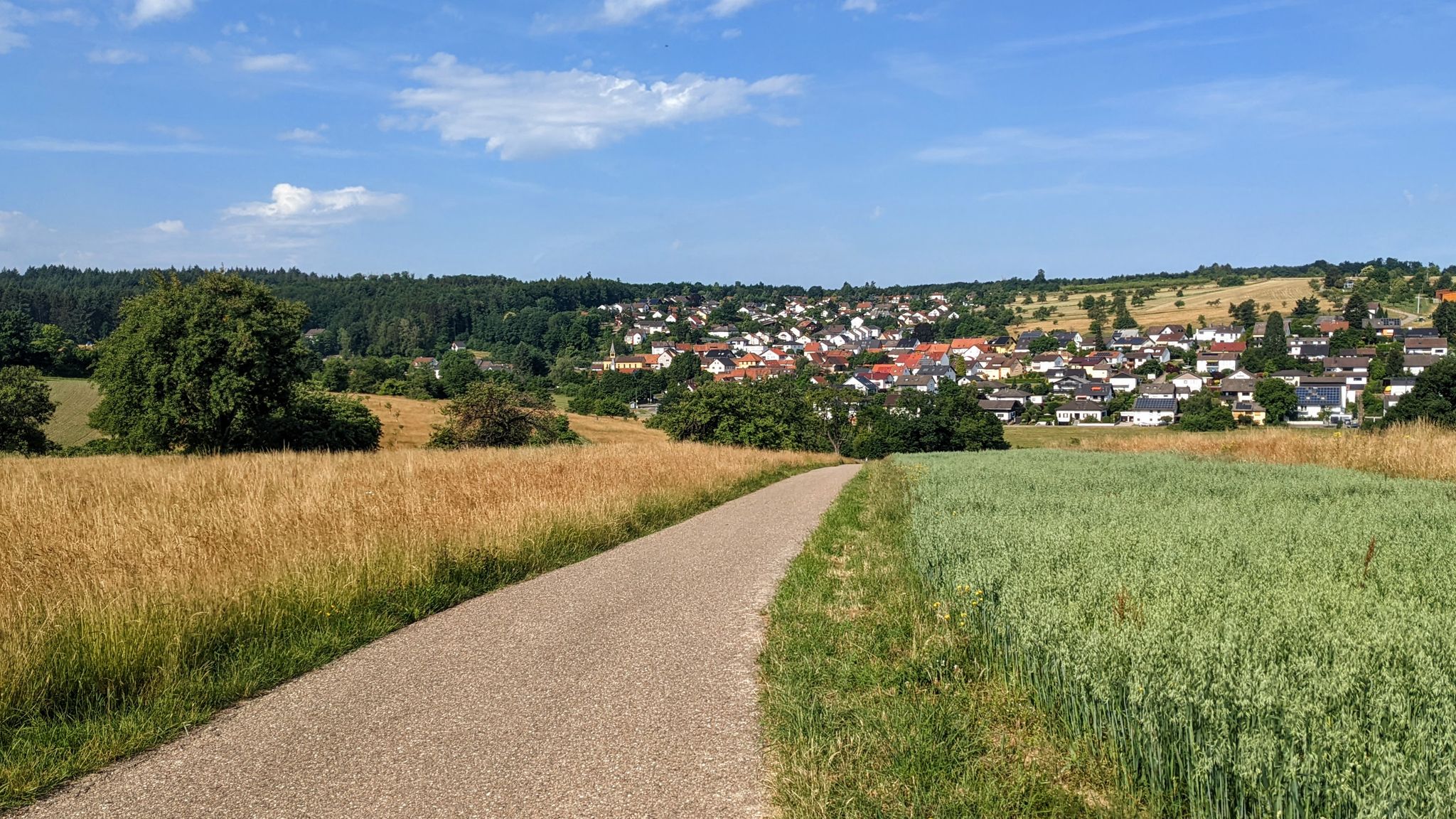 Blick auf Schluttenbach