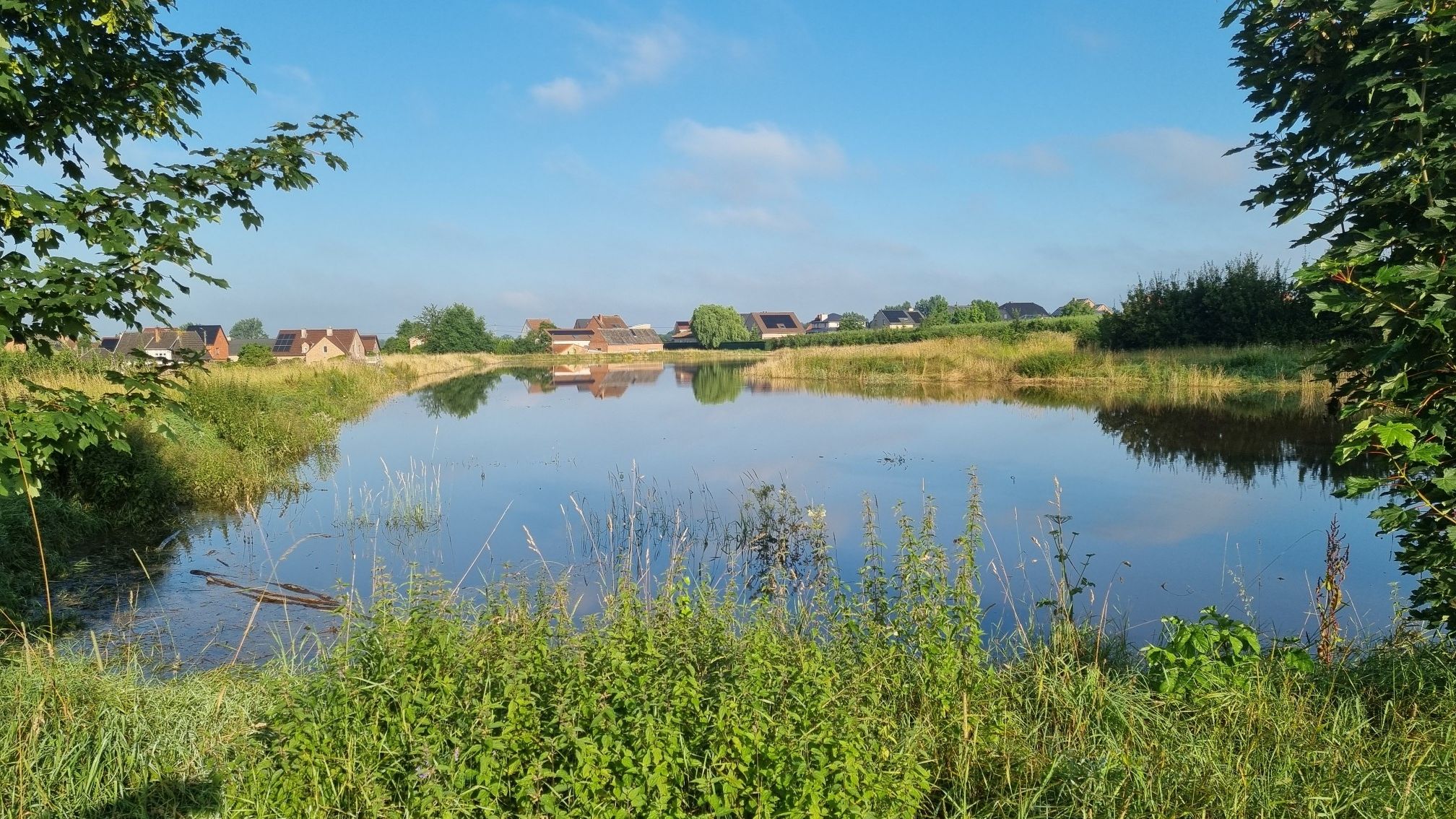 Meertje bij hoogwater