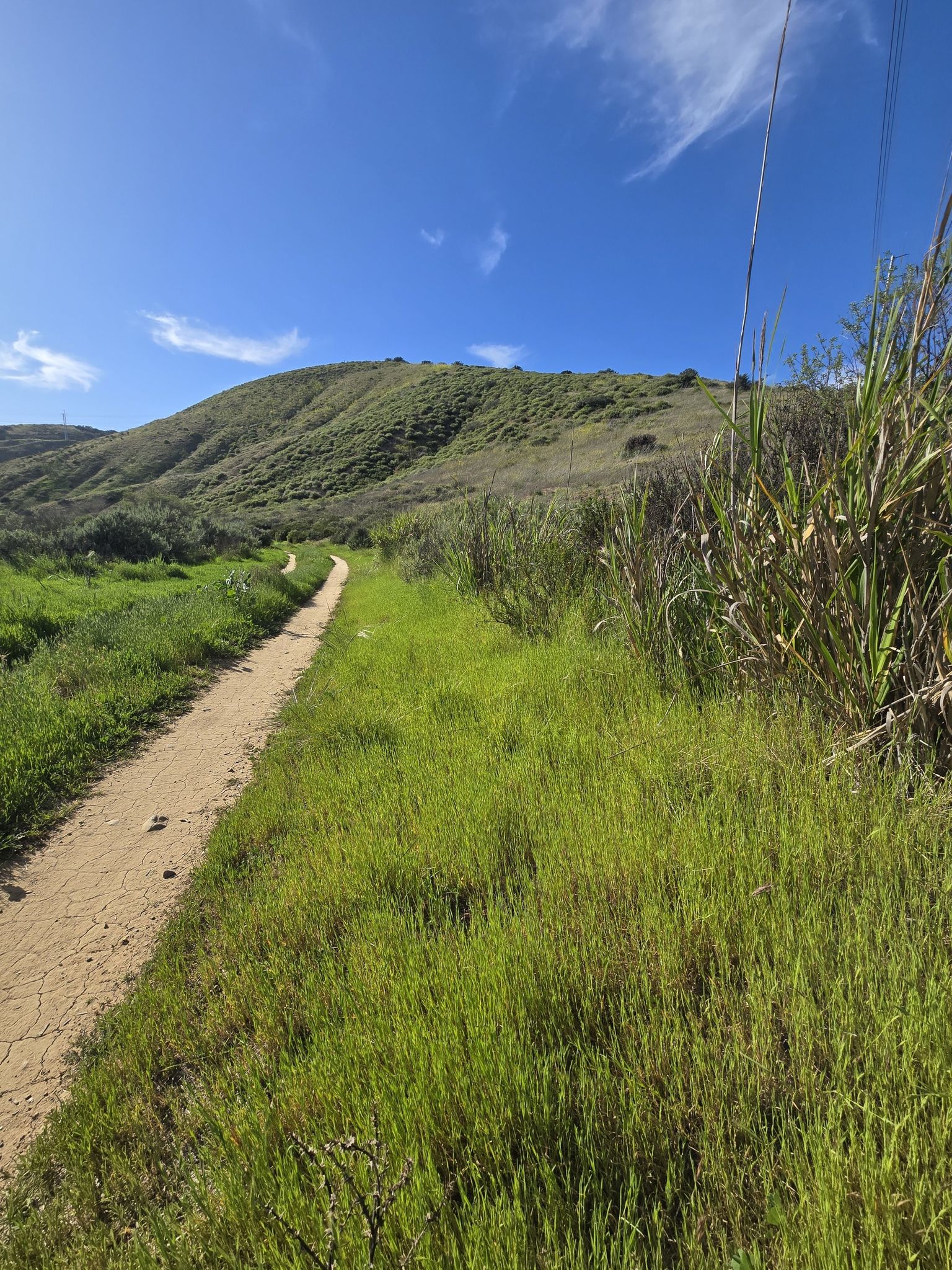 Dirt path winding through lush green hills under a bright blue sky. - Carmel Mountain loop from Sorrento Valley