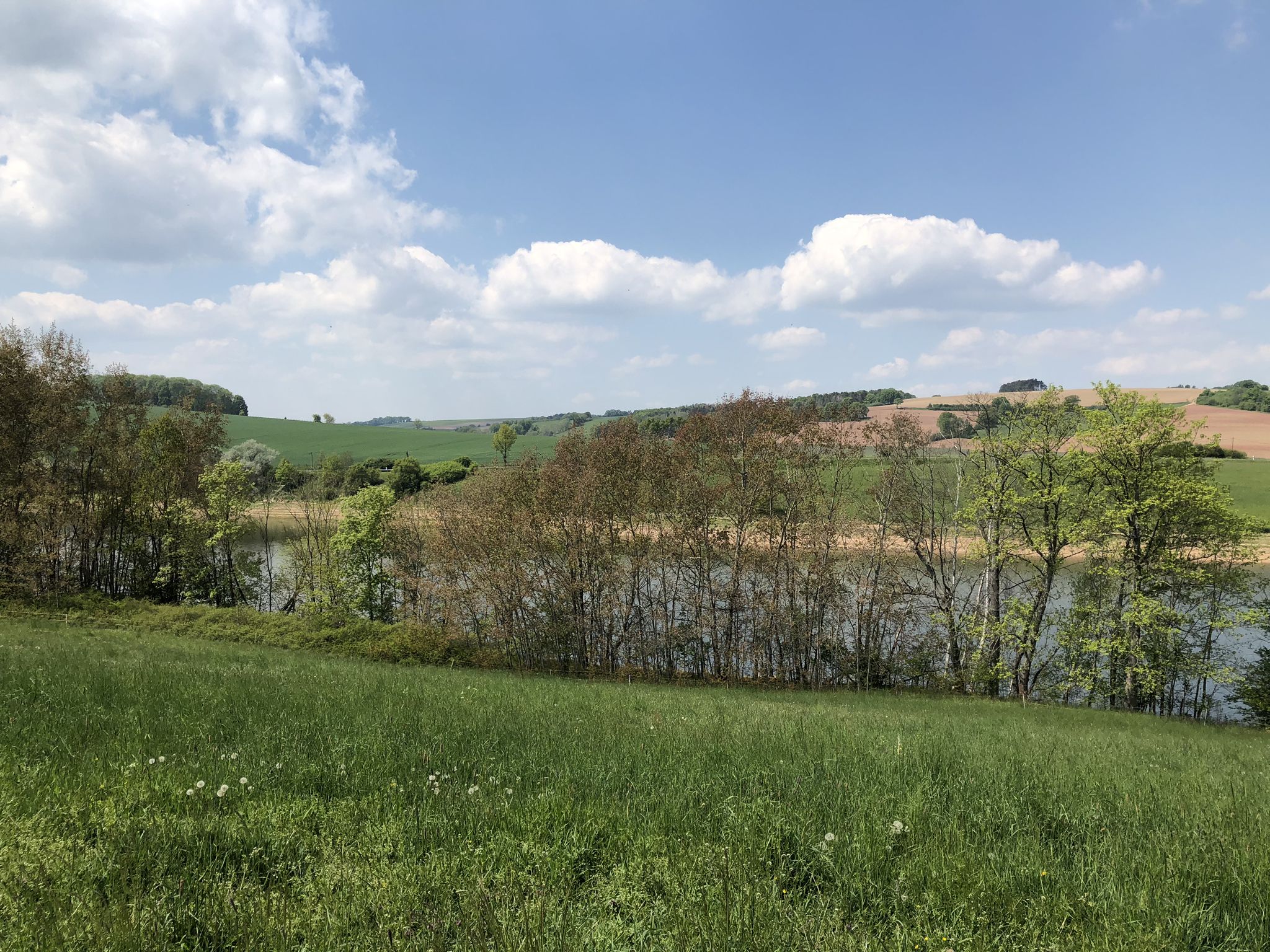 Speicher Schöna