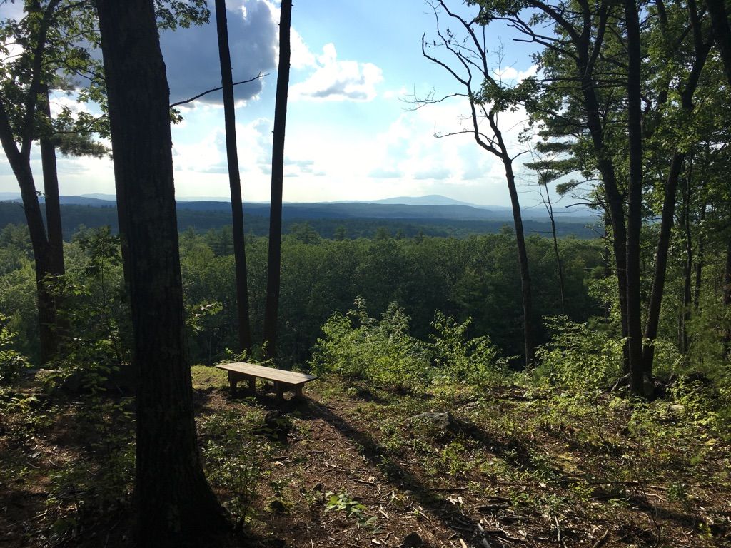 A wooden bench in a forest clearing overlooks a vast green valley and distant mountains. - Oak Hill Tower Trail Loop