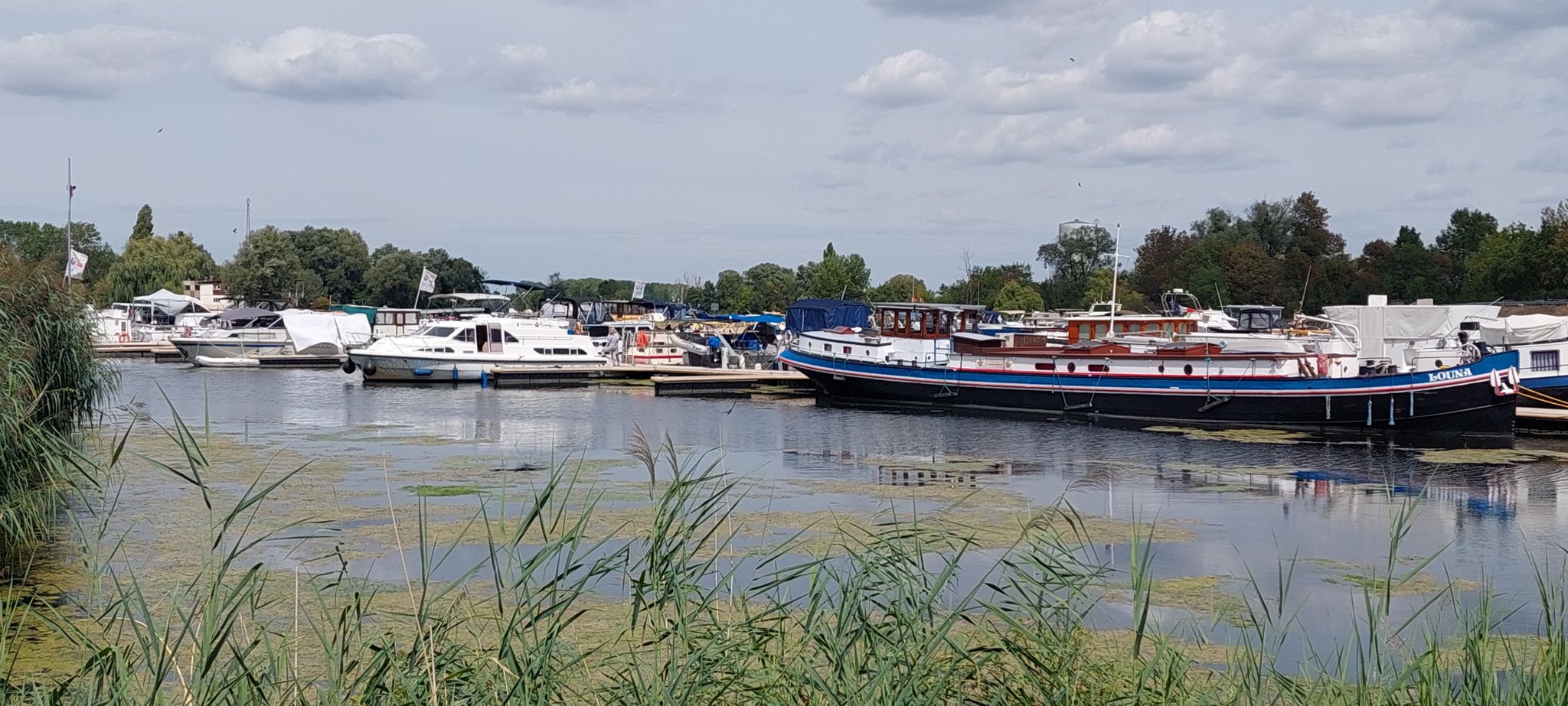 Der Yachthafen 