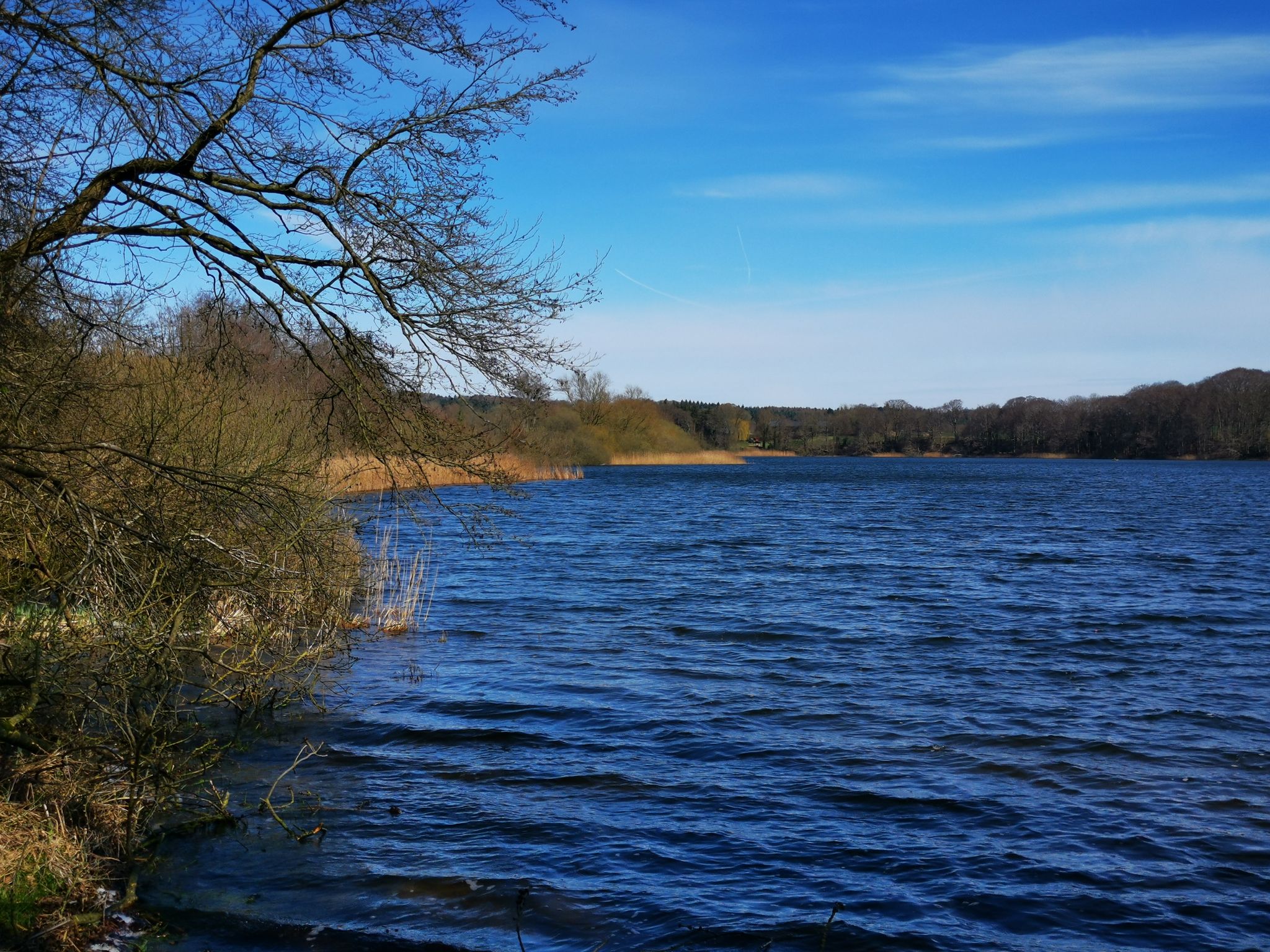 Pohlsee