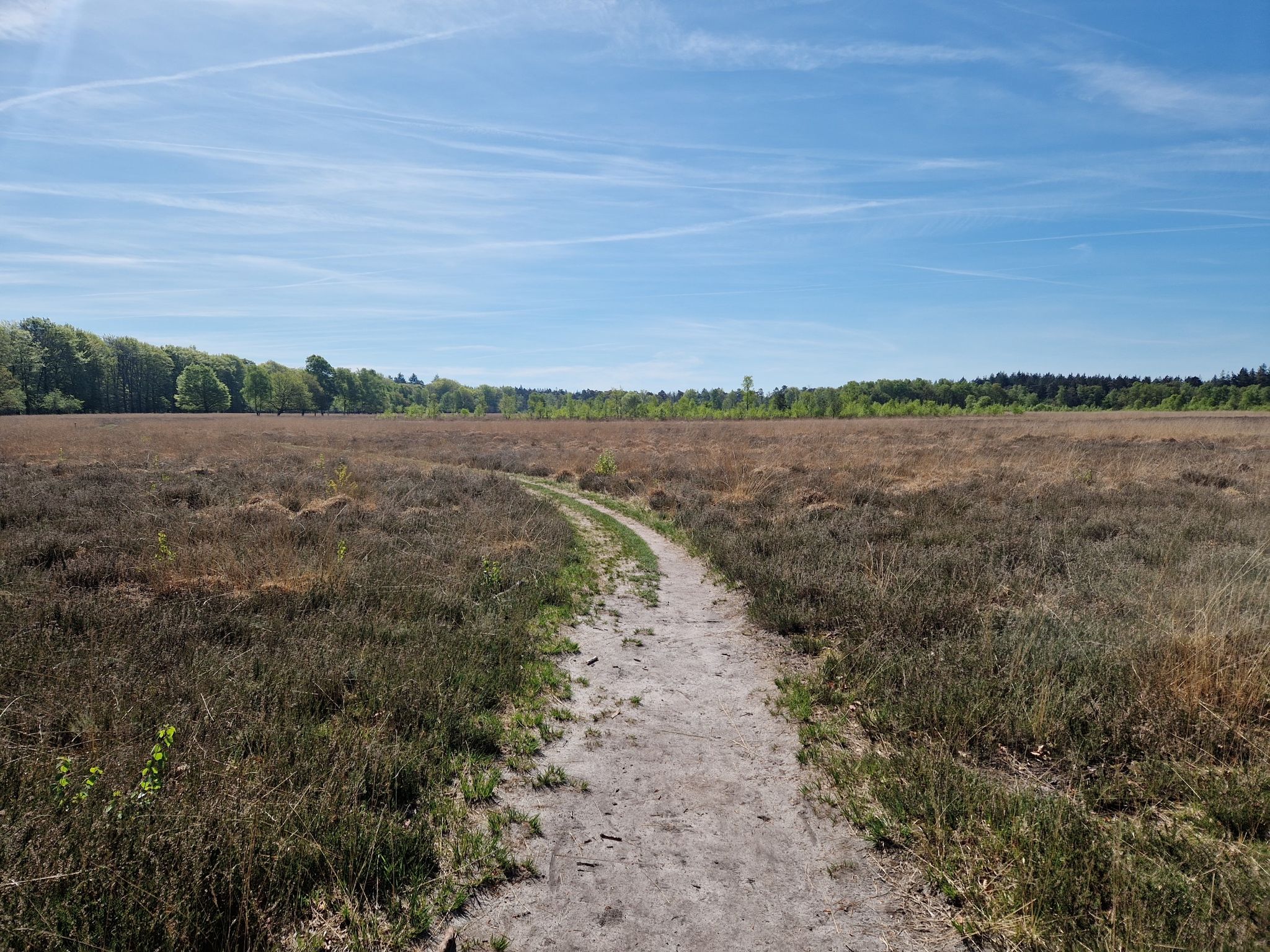 zinderende heide