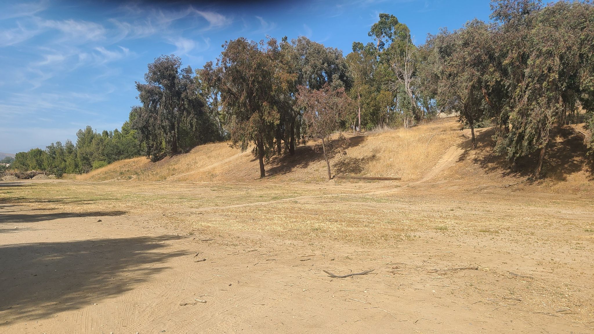 Sunny, dry field with grassy hills and scattered trees under a blue sky. - Laguna Lake, Brea Creek, & Hiltscher Park loop