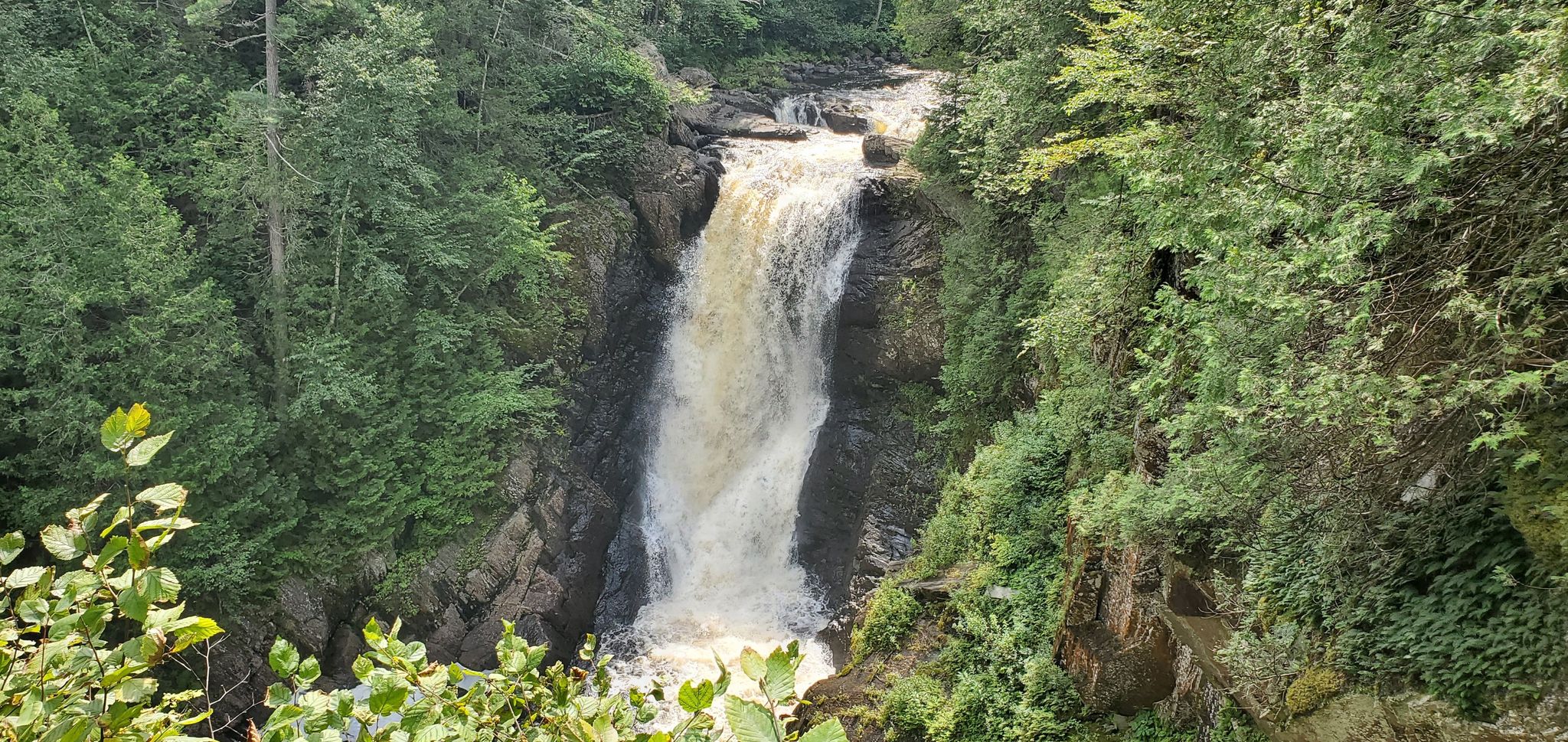Powerful waterfall in a lush green forest under bright daylight. - Moxie Falls Trail